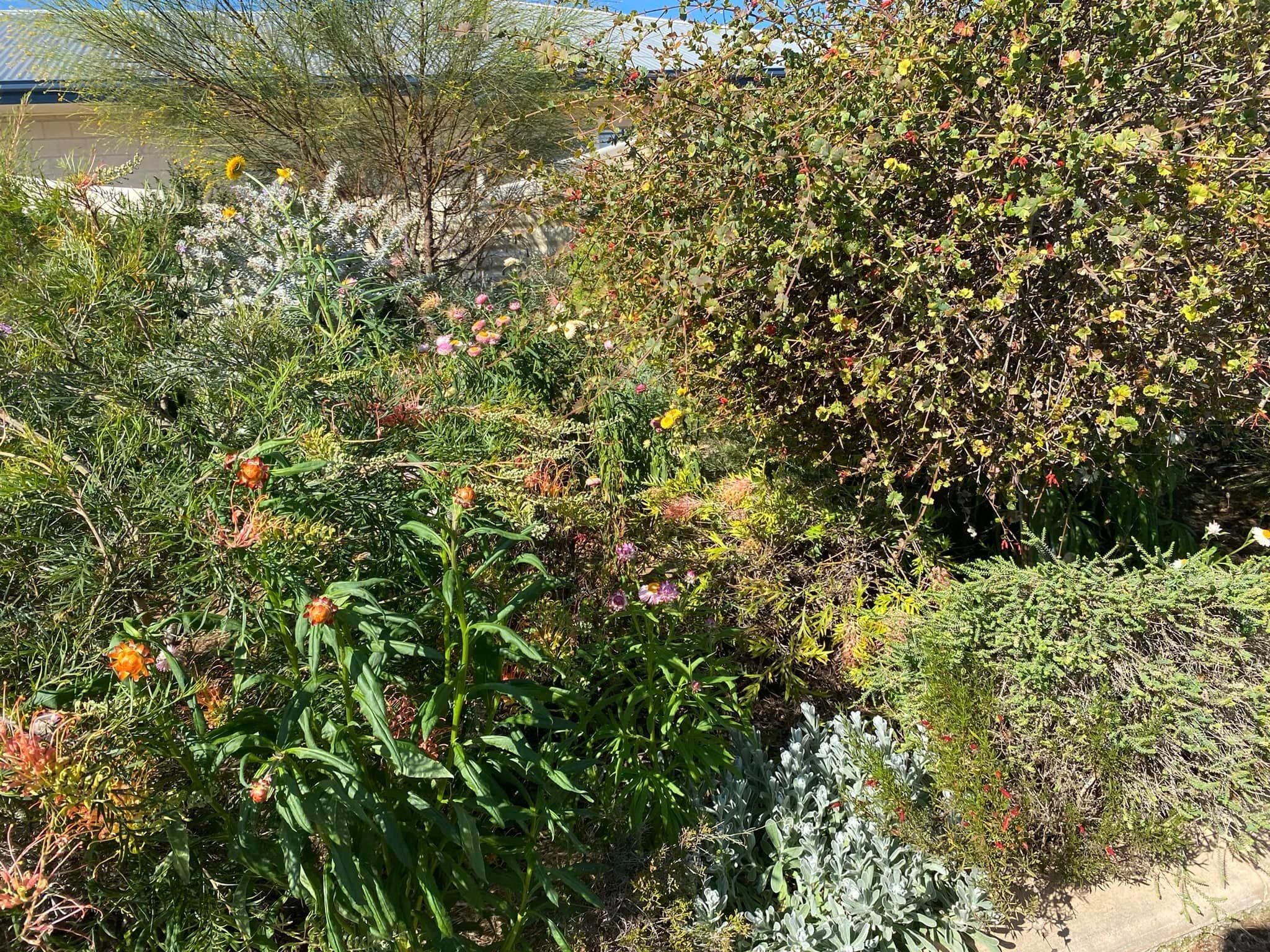 Adrian and Gail's Private Garden - Toowoomba Garden Festival 2024 Image -66ff521511523