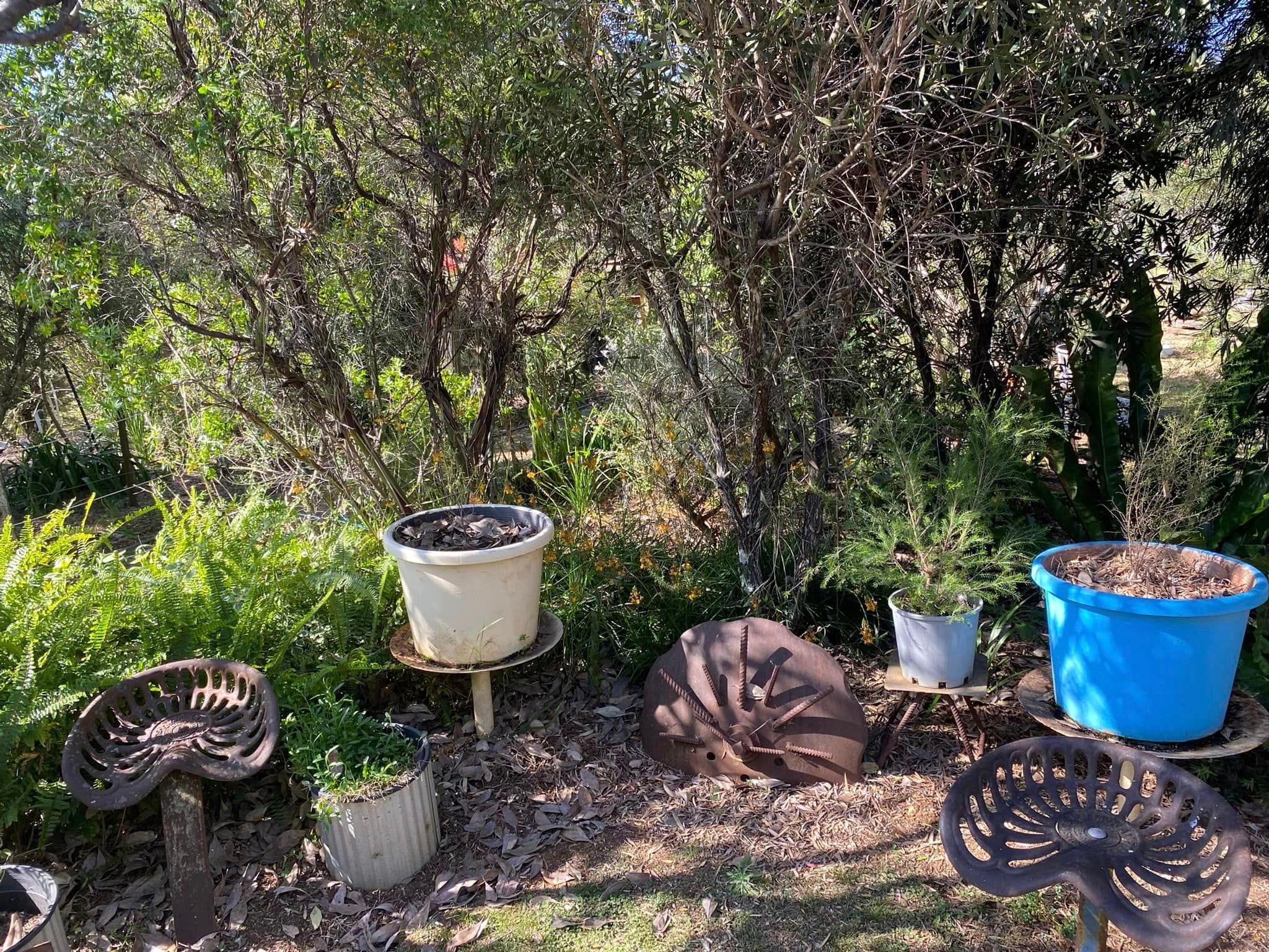 Adrian and Gail's Private Garden - Toowoomba Garden Festival 2024 Image -66ff5215c7335