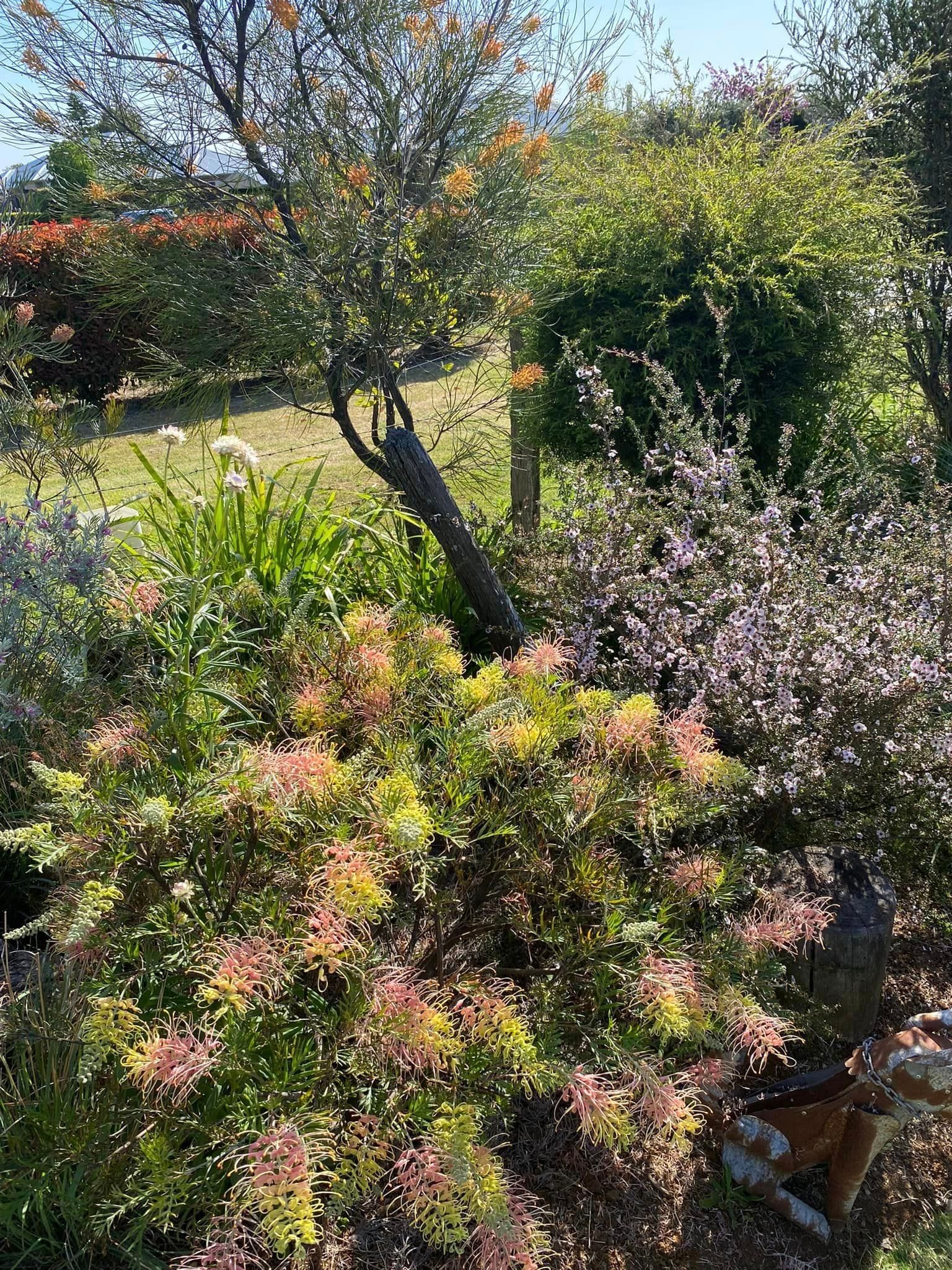 Adrian and Gail's Private Garden - Toowoomba Garden Festival 2024 Image -66ff52197b7b4