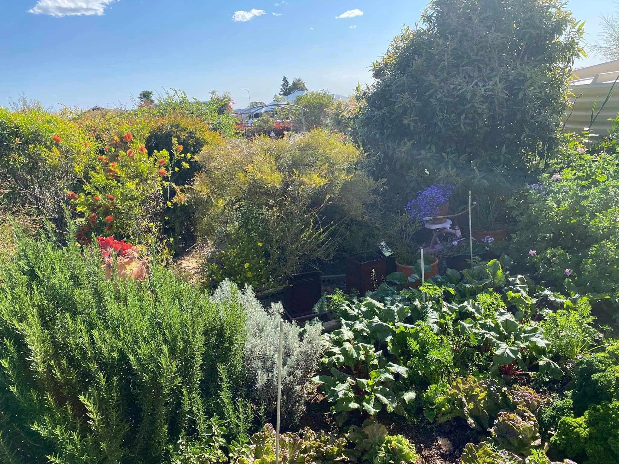 Adrian and Gail's Private Garden - Toowoomba Garden Festival 2024 Image -66ff521d46fa7