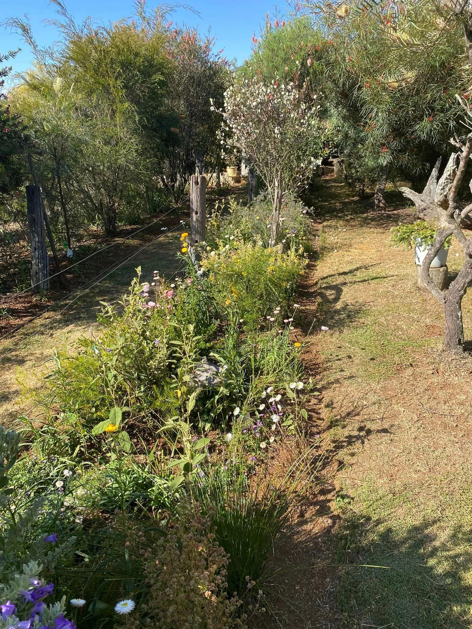 Adrian and Gail's Private Garden - Toowoomba Garden Festival 2024 Image -66ff521e08f99