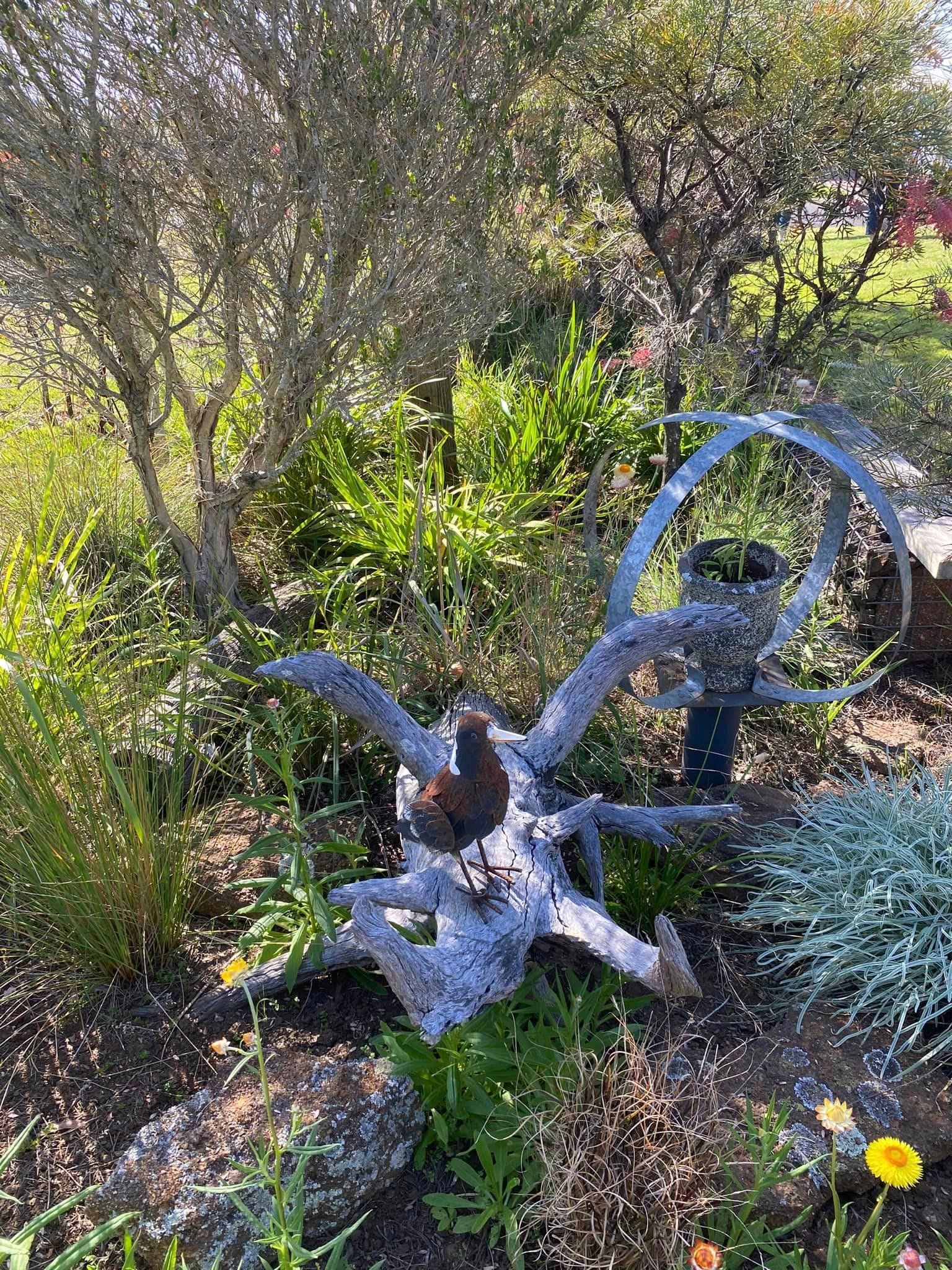 Adrian and Gail's Private Garden - Toowoomba Garden Festival 2024 Image -66ff521eb7b3f