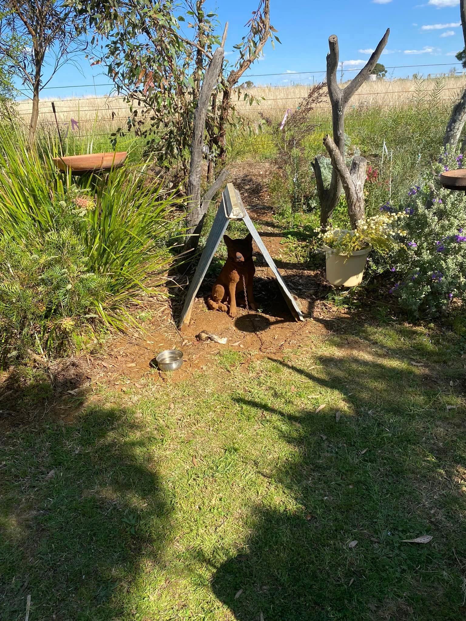 Adrian and Gail's Private Garden - Toowoomba Garden Festival 2024 Image -66ff522241fe8