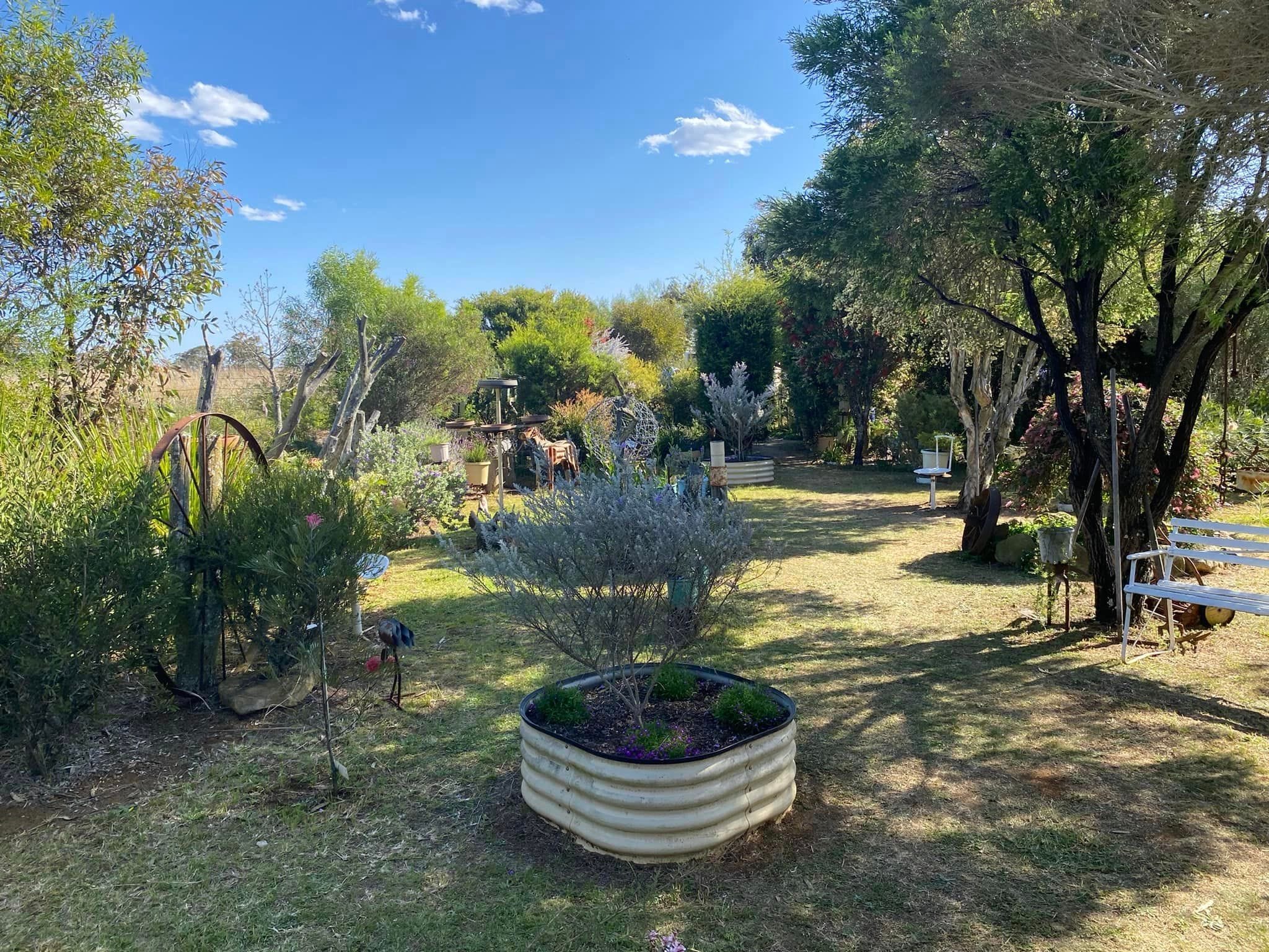 Adrian and Gail's Private Garden - Toowoomba Garden Festival 2024 Image -66ff522556887