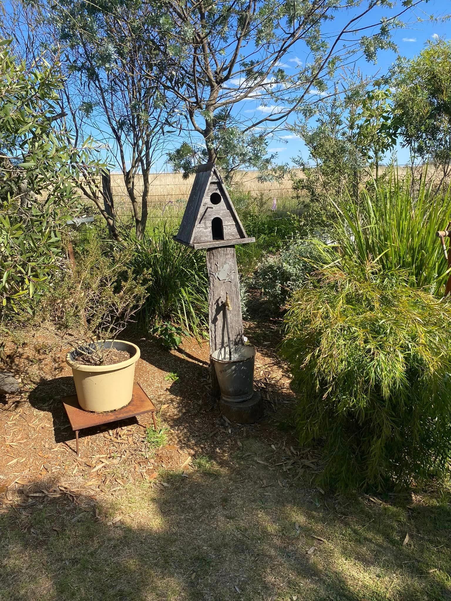 Adrian and Gail's Private Garden - Toowoomba Garden Festival 2024 Image -66ff5229e3cd7