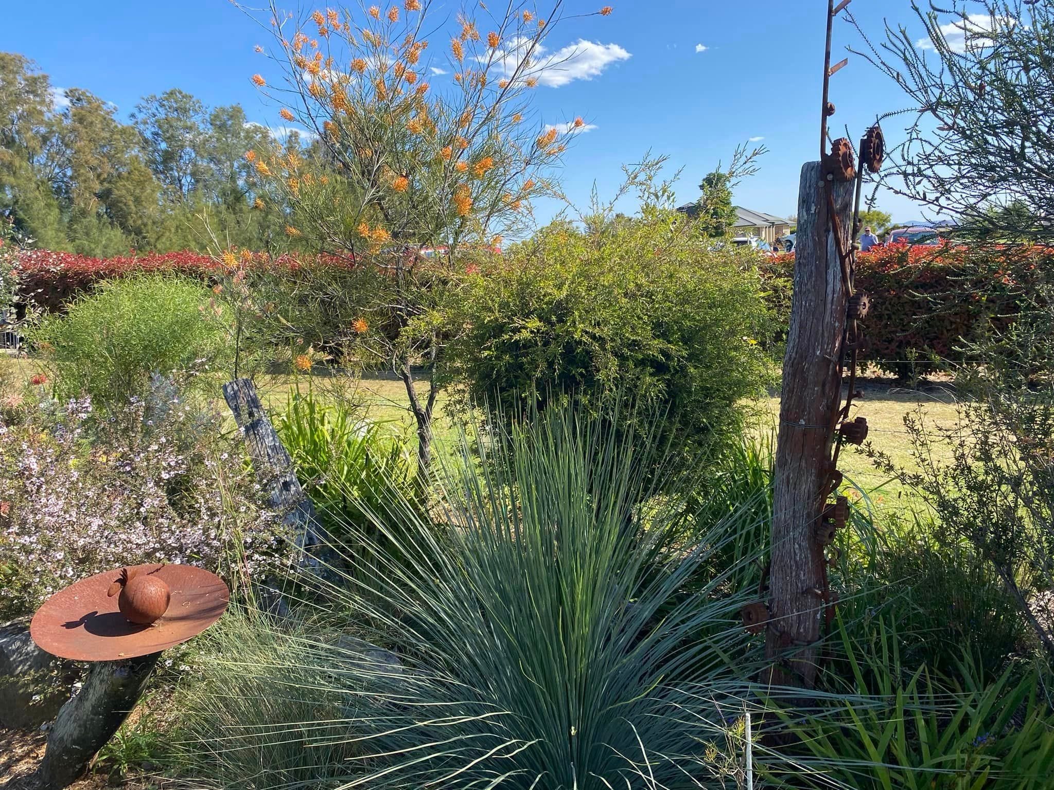 Adrian and Gail's Private Garden - Toowoomba Garden Festival 2024 Image -66ff522e36b12