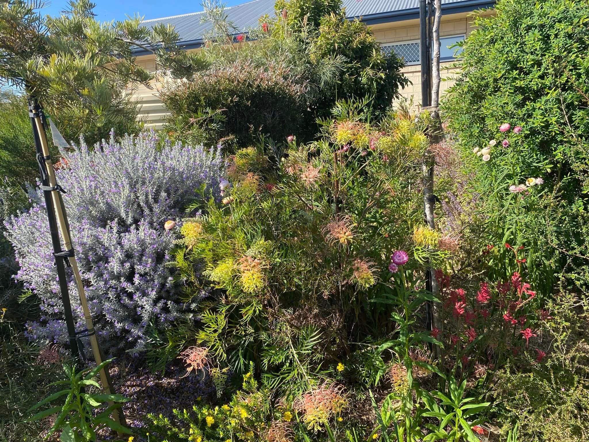 Adrian and Gail's Private Garden - Toowoomba Garden Festival 2024 Image -66ff52341d3f7