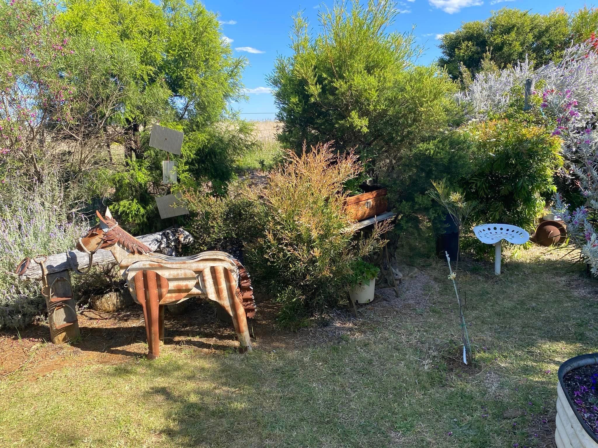 Adrian and Gail's Private Garden - Toowoomba Garden Festival 2024 Image -66ff523690485