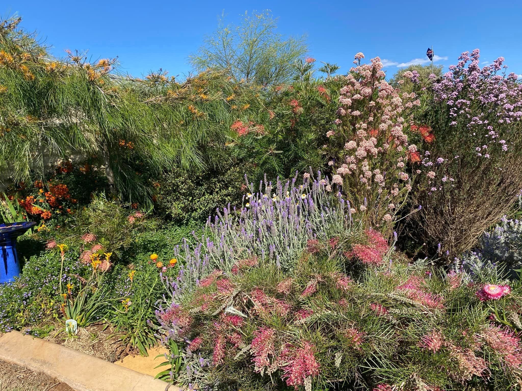 Adrian and Gail's Private Garden - Toowoomba Garden Festival 2024 Image -66ff5237468fc