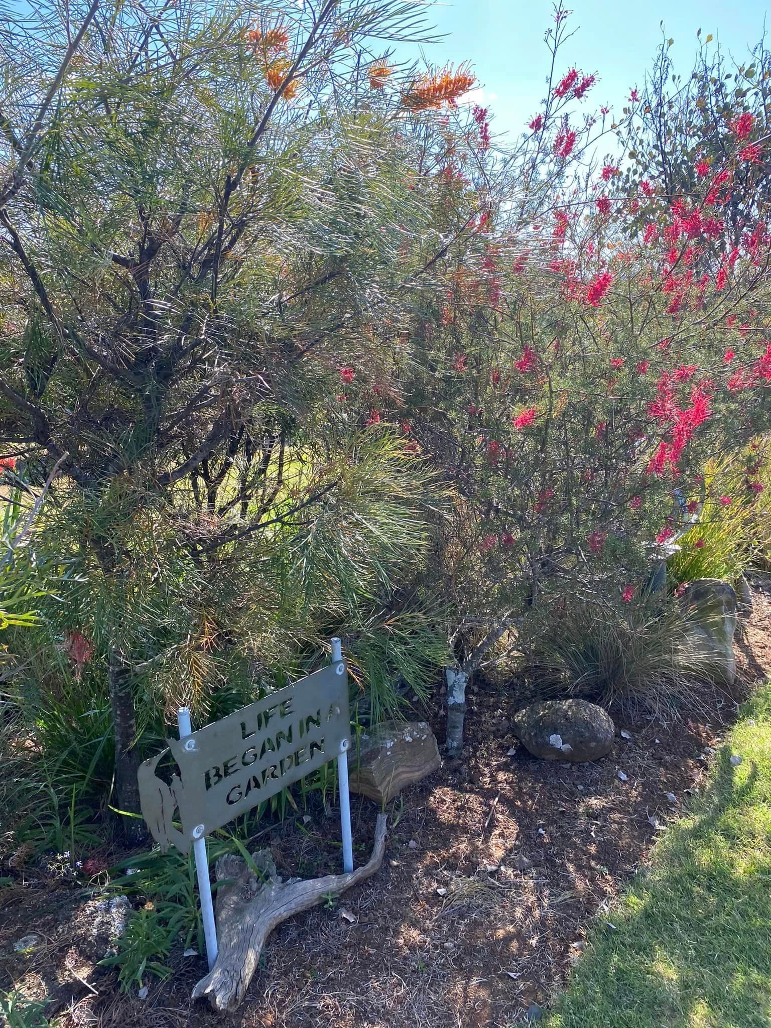 Adrian and Gail's Private Garden - Toowoomba Garden Festival 2024 Image -66ff523916b97