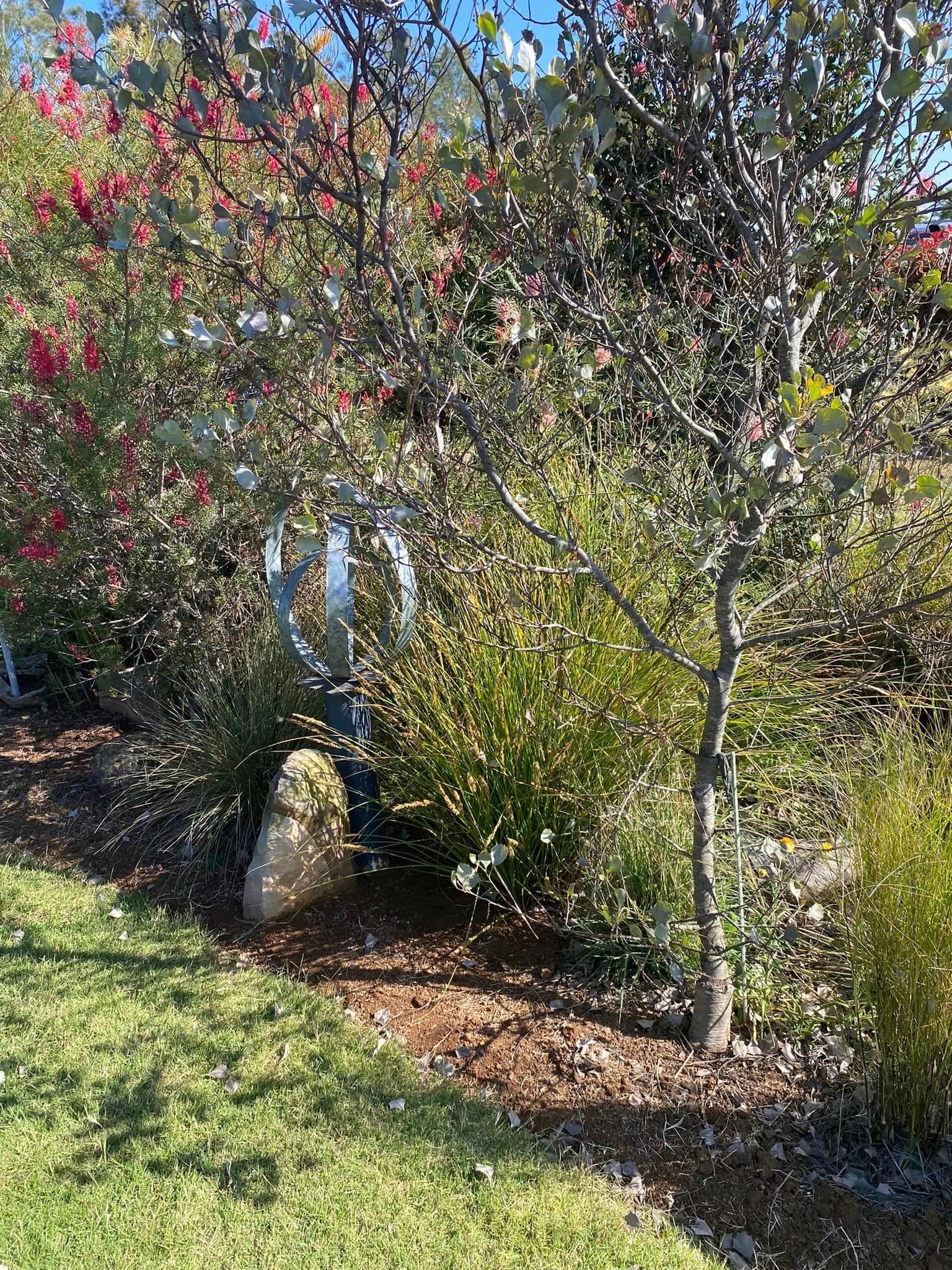 Adrian and Gail's Private Garden - Toowoomba Garden Festival 2024 Image -66ff523a01a6f