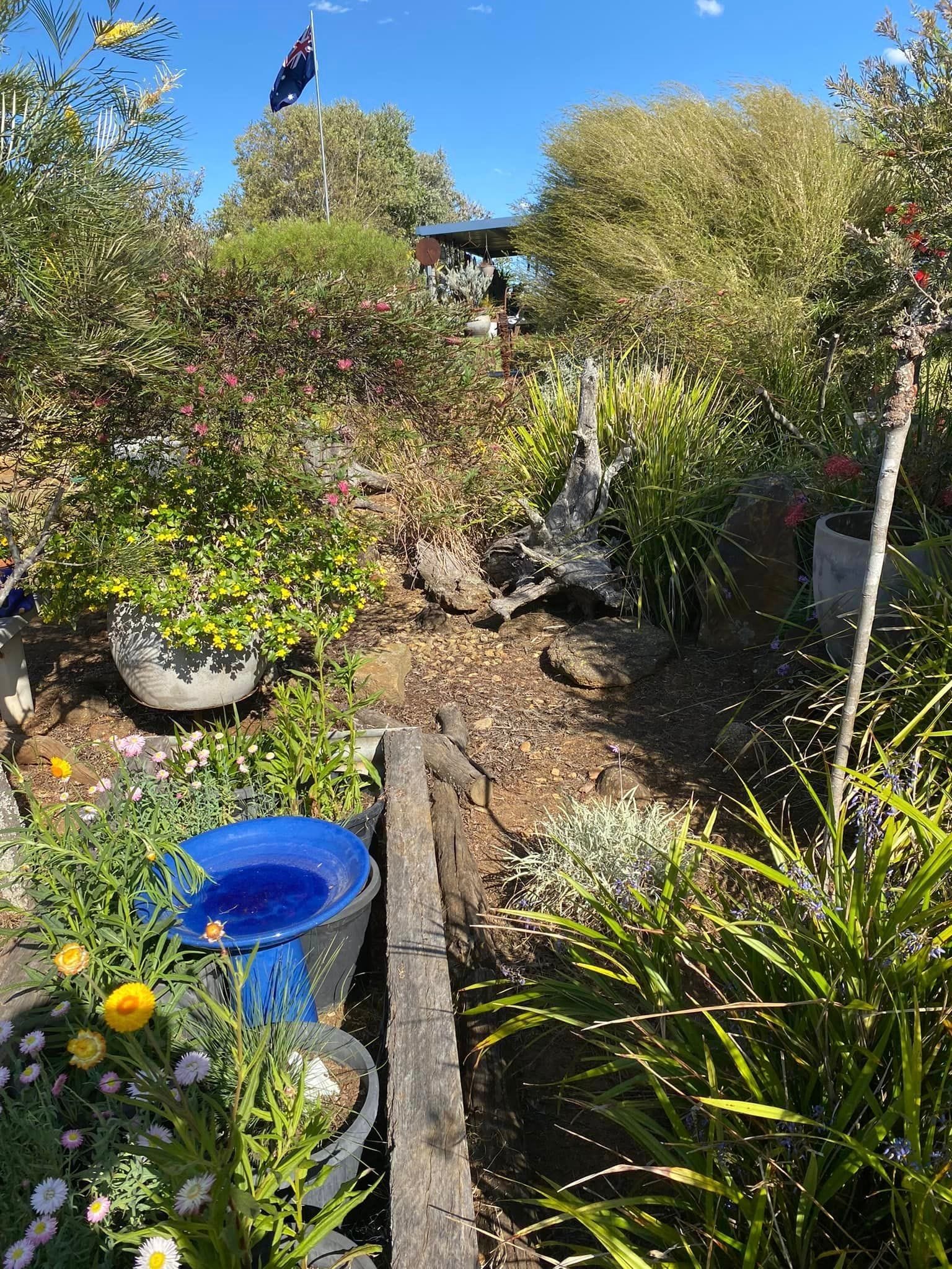 Adrian and Gail's Private Garden - Toowoomba Garden Festival 2024 Image -66ff52402b398