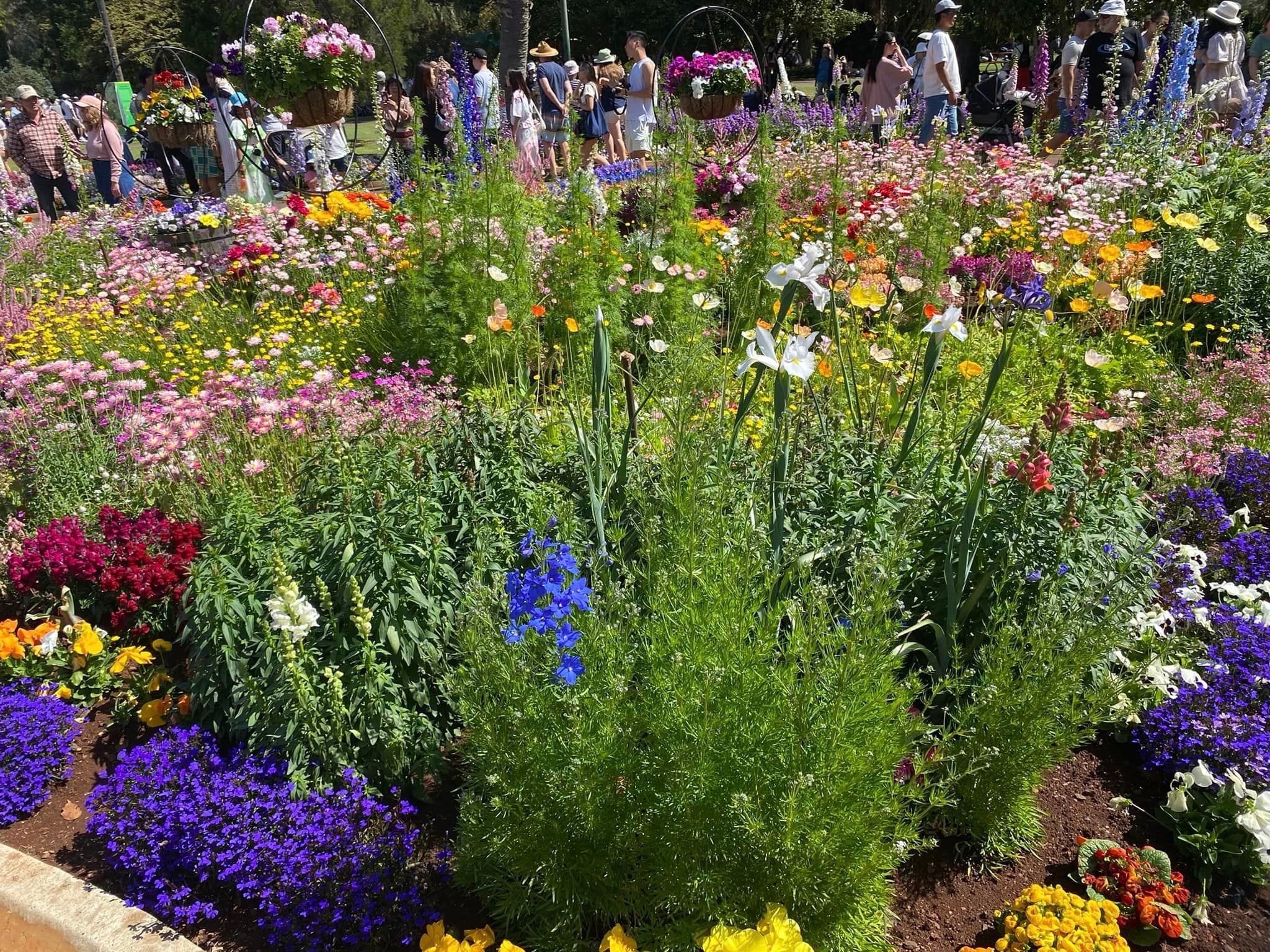 Queens Park - Toowoomba Garden Festival 2024