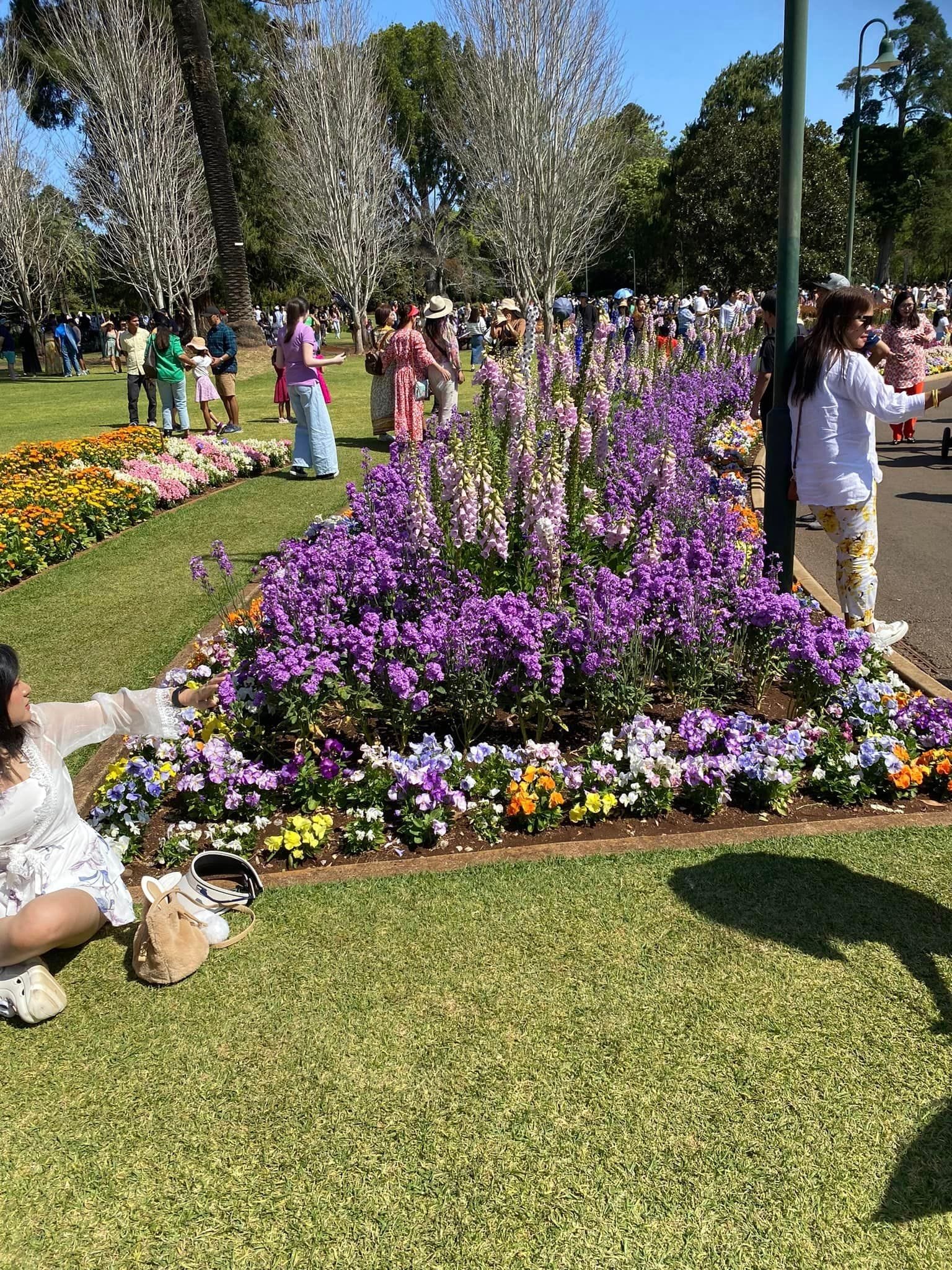 Queens Park - Toowoomba Garden Festival 2024 Image -66ff5fde76911