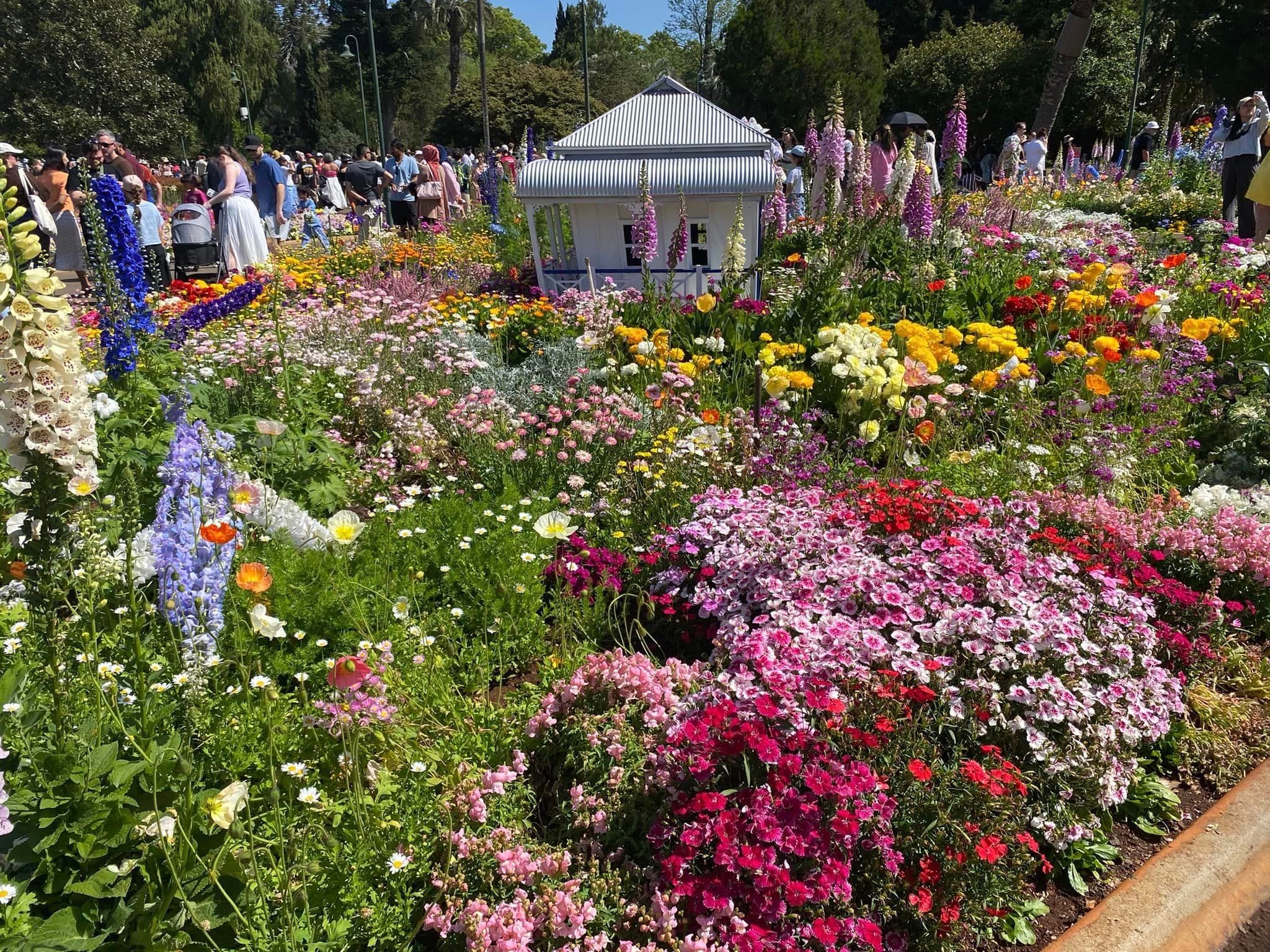 Queens Park - Toowoomba Garden Festival 2024 Image -66ff5fdf42b86