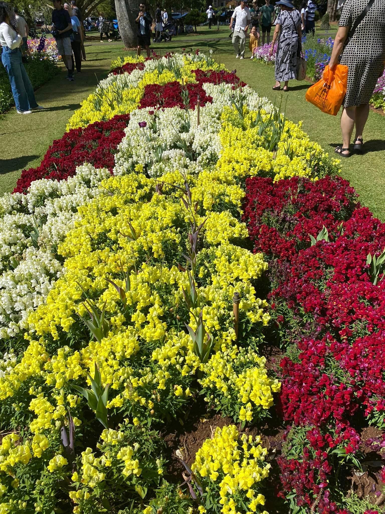 Queens Park - Toowoomba Garden Festival 2024 Image -66ff5fdff32b3