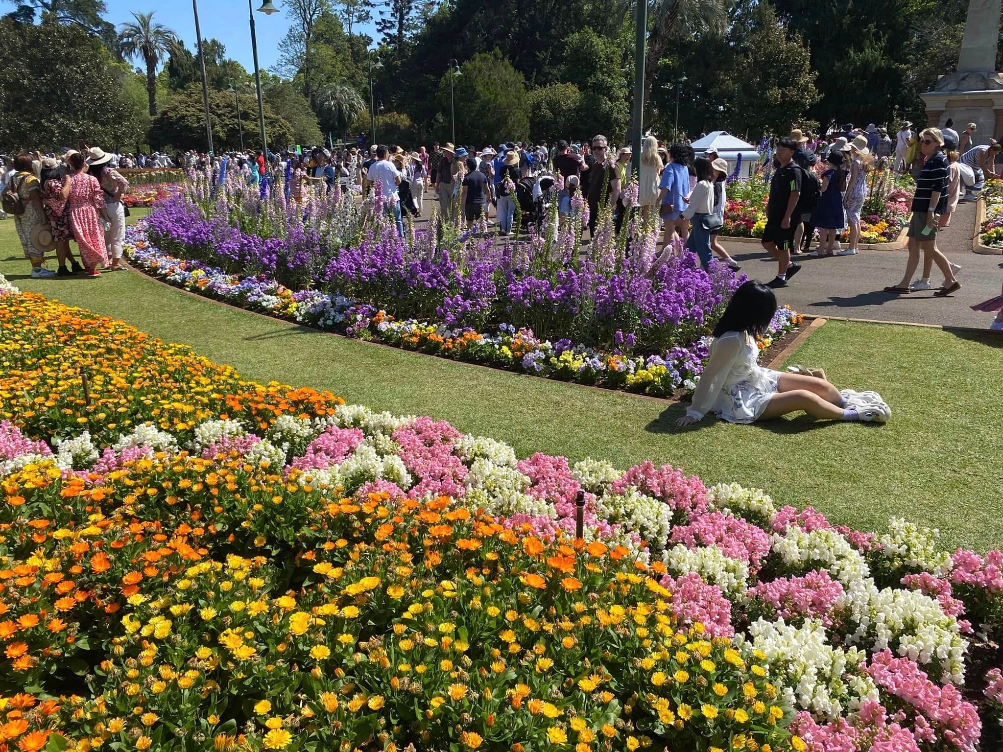 Queens Park - Toowoomba Garden Festival 2024 Image -66ff5fe3da366