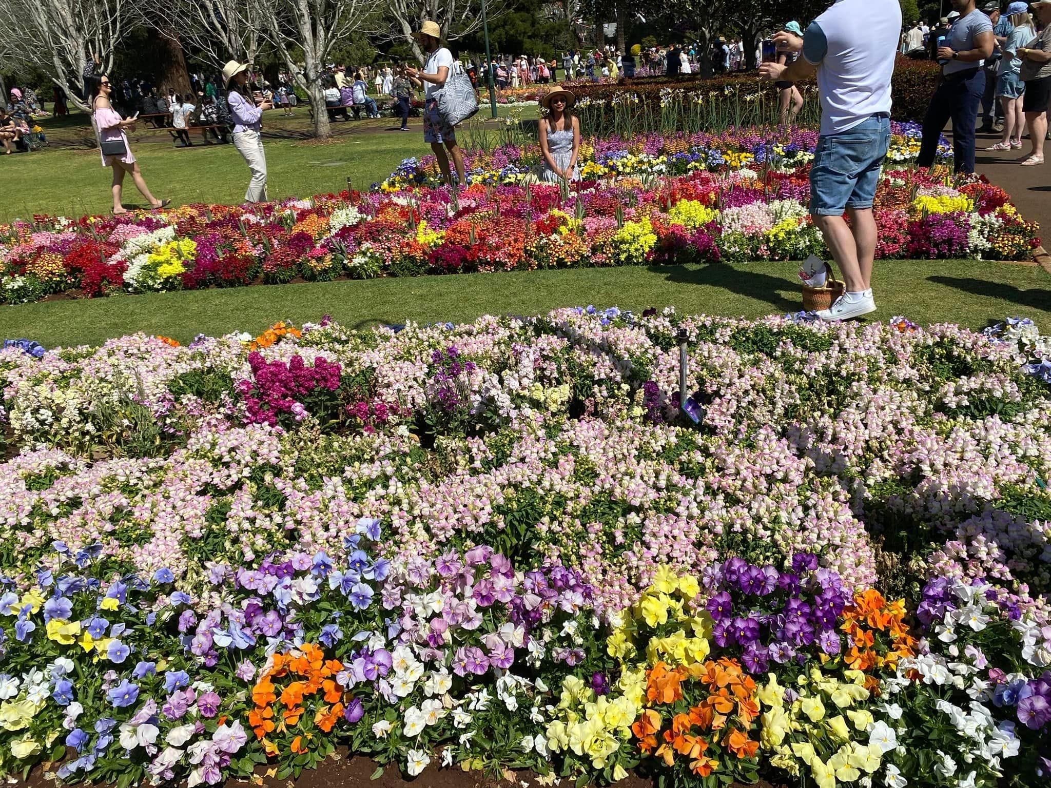 Queens Park - Toowoomba Garden Festival 2024 Image -66ff5fec406e1