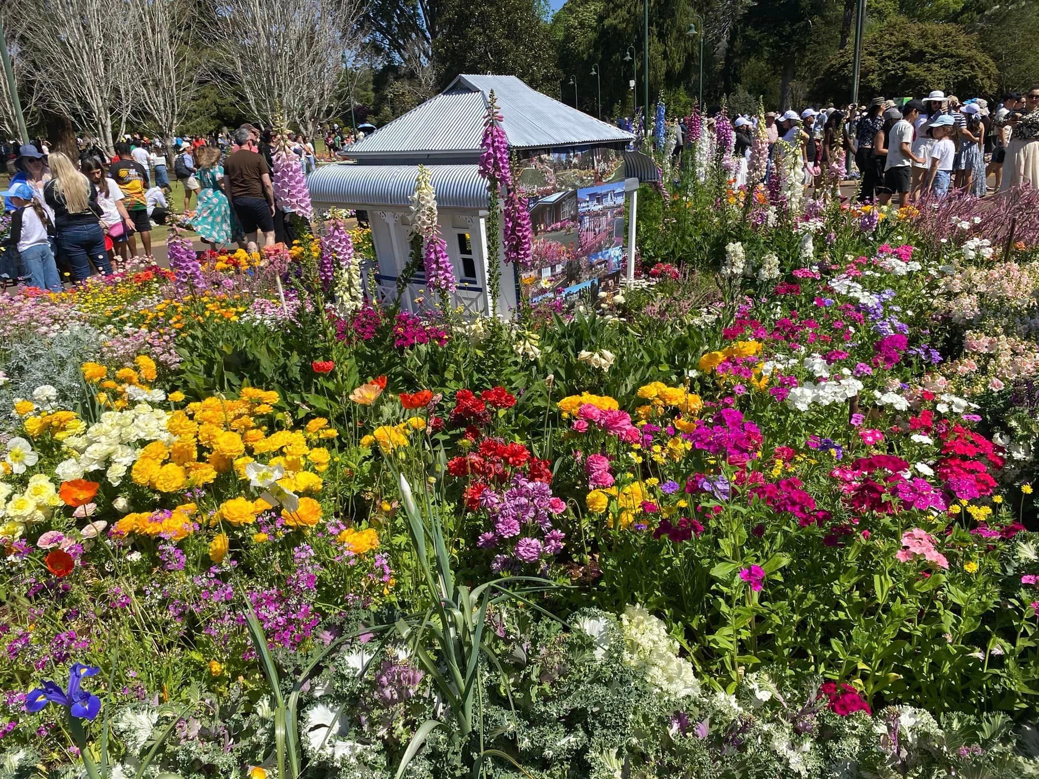 Queens Park - Toowoomba Garden Festival 2024 Image -66ff5ff1c58bd