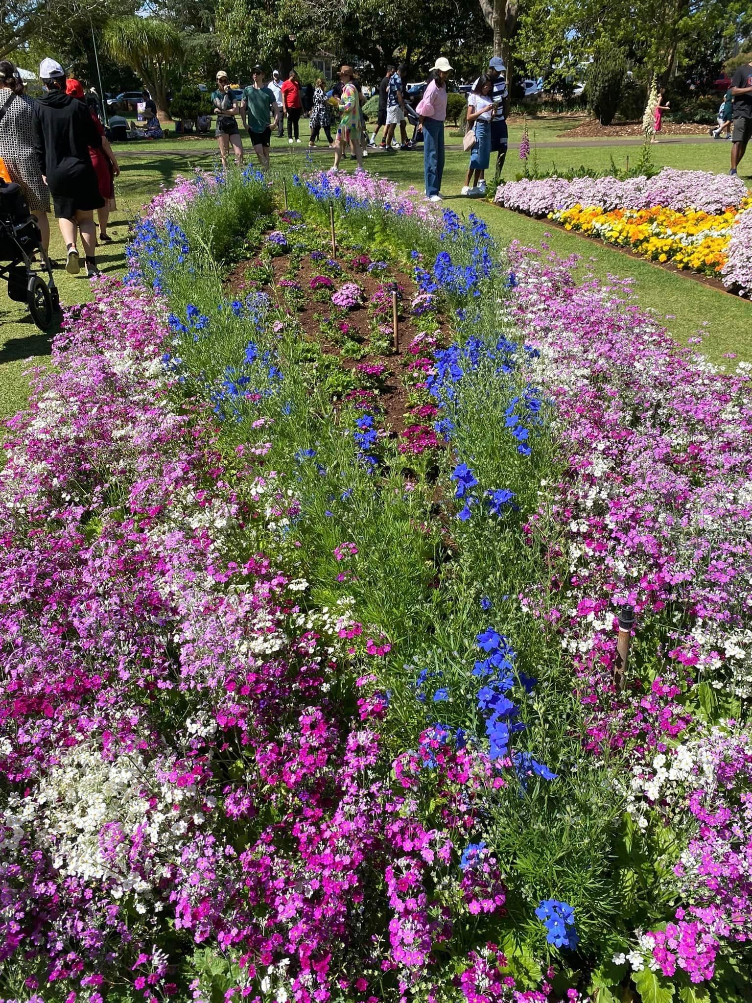 Queens Park - Toowoomba Garden Festival 2024 Image -66ff5ff5805dc