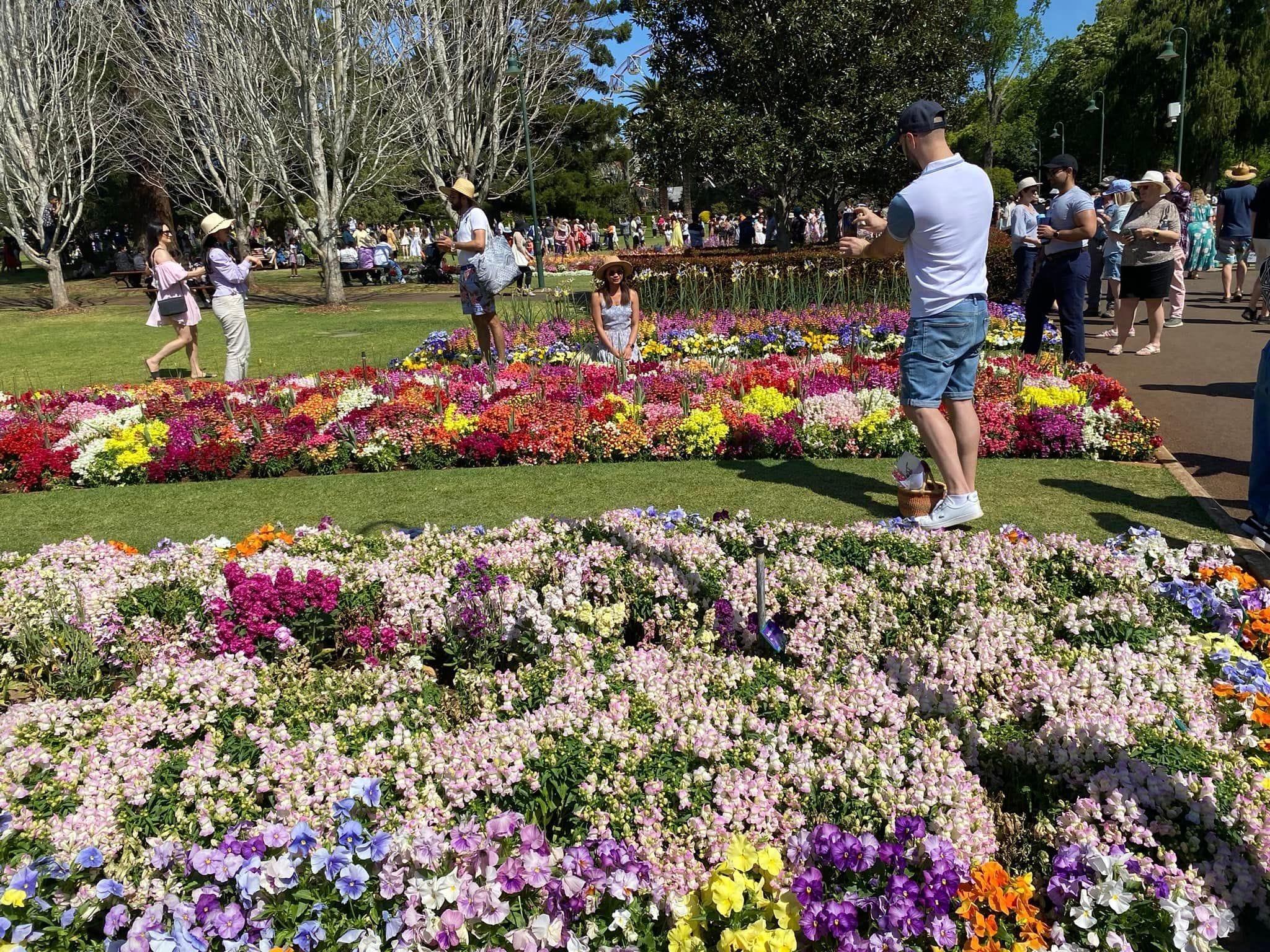 Queens Park - Toowoomba Garden Festival 2024 Image -66ff5ff719ab9