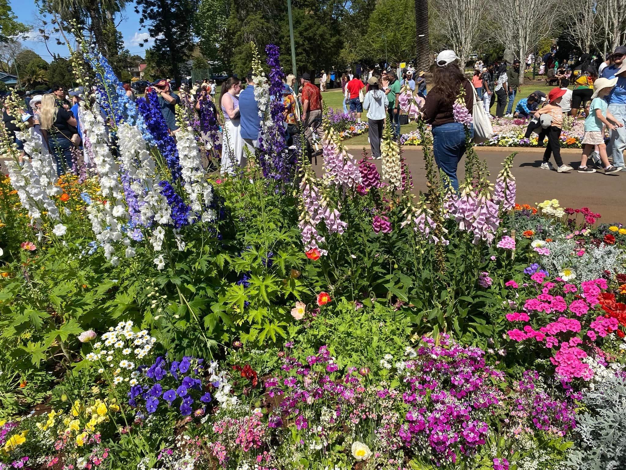 Queens Park - Toowoomba Garden Festival 2024 Image -66ff5ffe58871