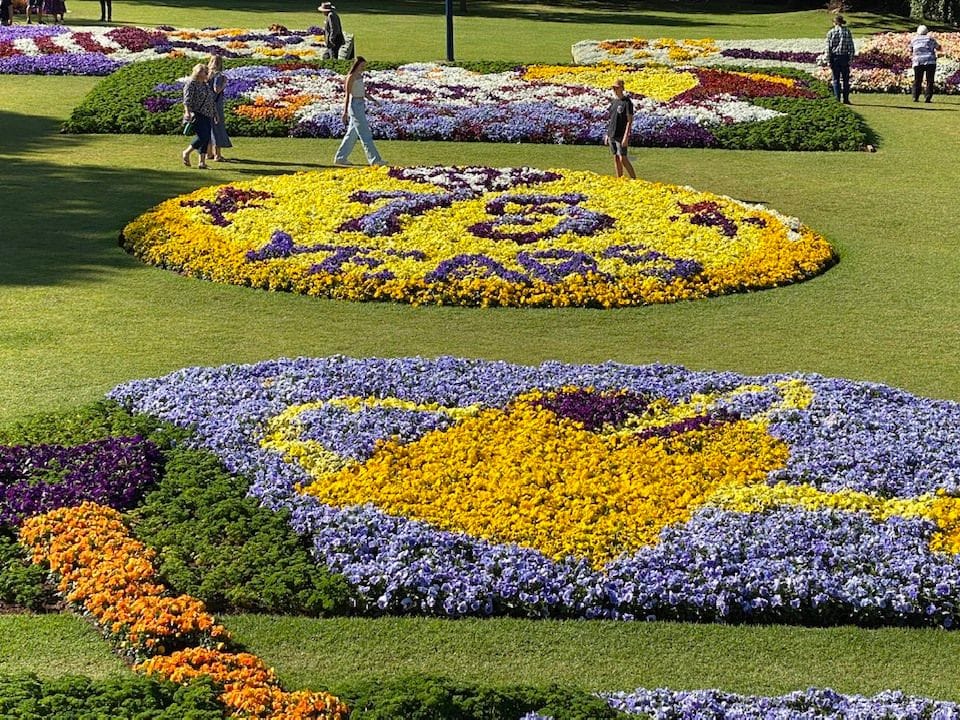 Laurel Bank Park Gardens - 2024 Toowoomba Garden Festival Image -66ff71060cf92