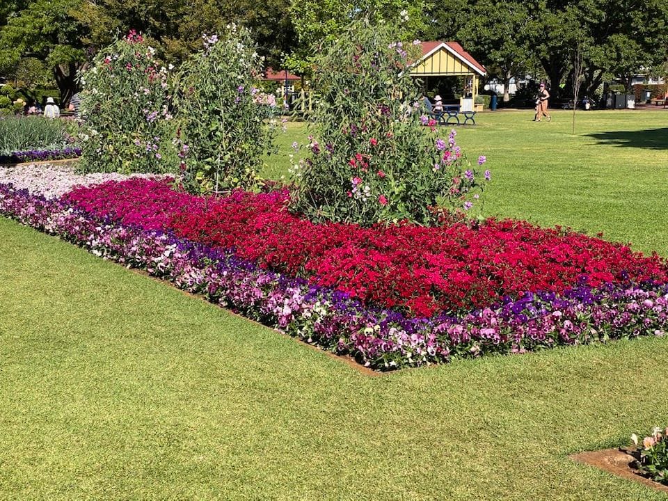 Laurel Bank Park Gardens - 2024 Toowoomba Garden Festival Image -66ff710683513