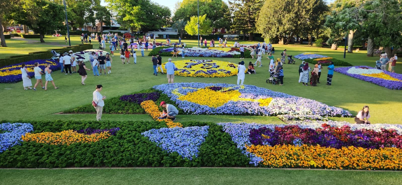 Laurel Bank Park Gardens - 2024 Toowoomba Garden Festival Image -66ff7107a5474