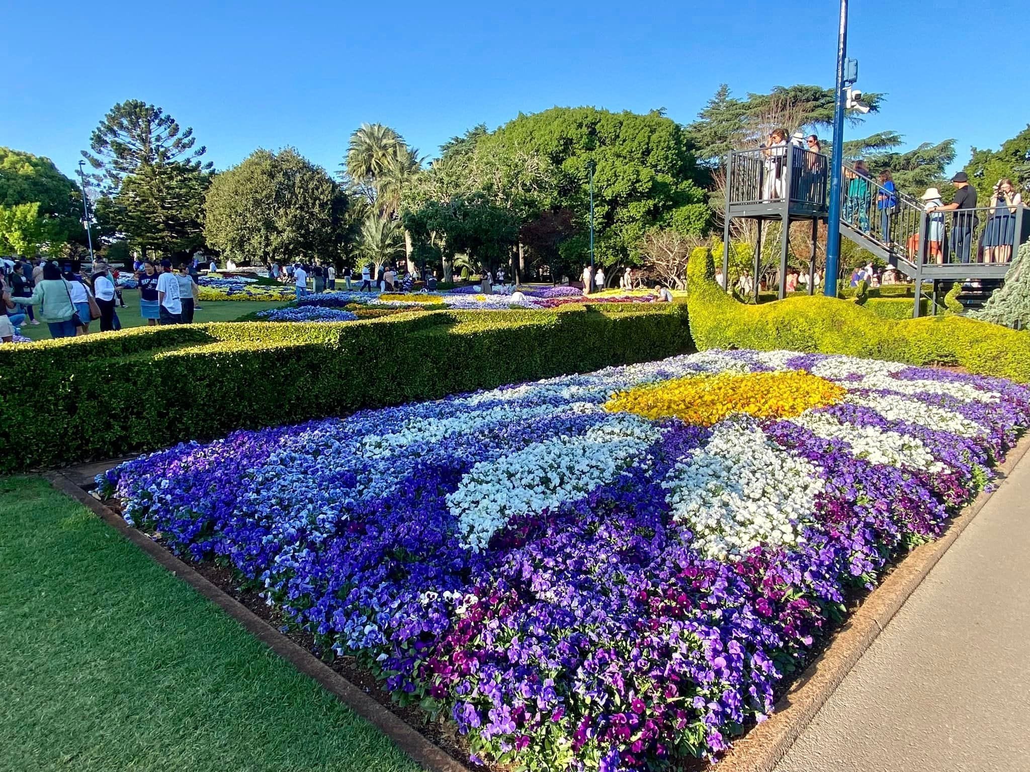 Laurel Bank Park Gardens - 2024 Toowoomba Garden Festival Image -66ff71085fc94