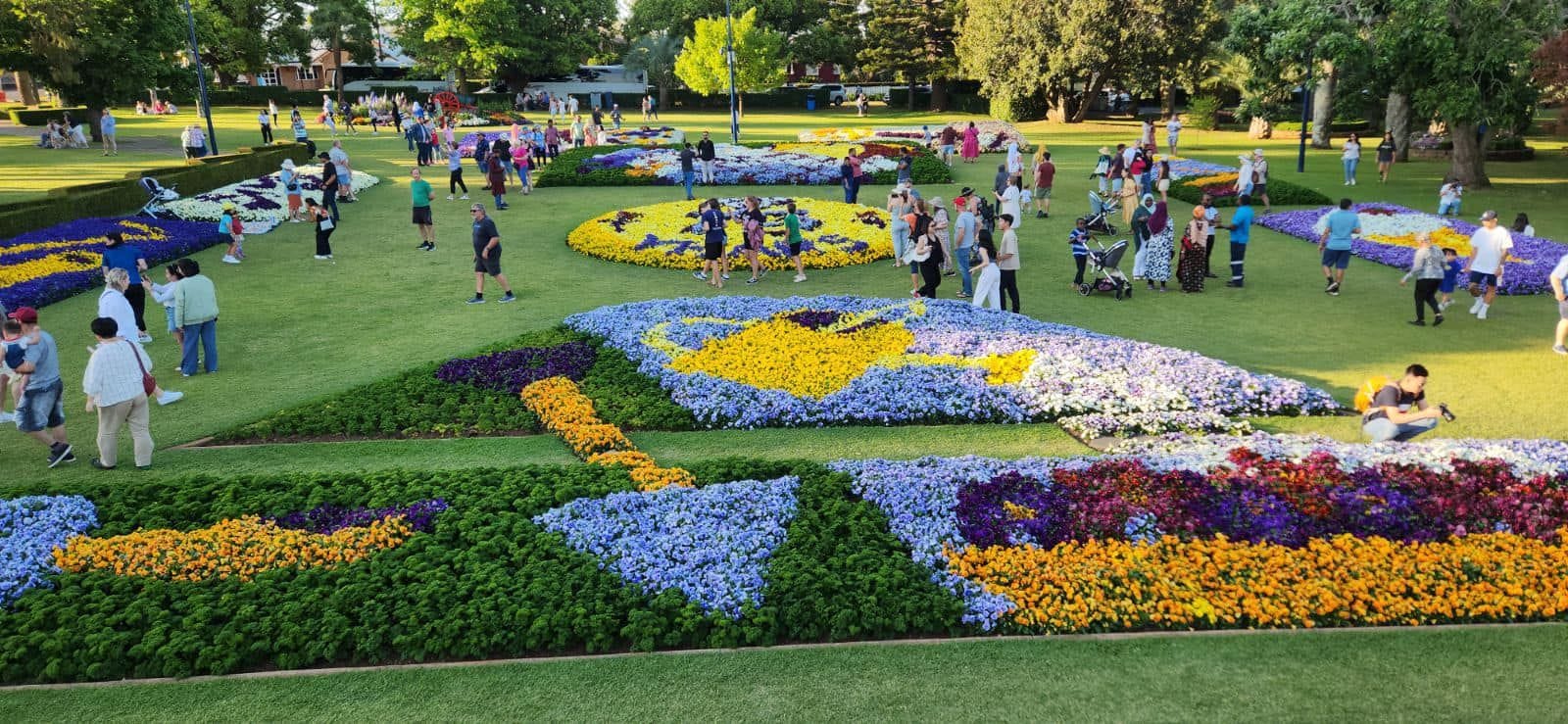 Laurel Bank Park Gardens - 2024 Toowoomba Garden Festival Image -66ff710c5c810