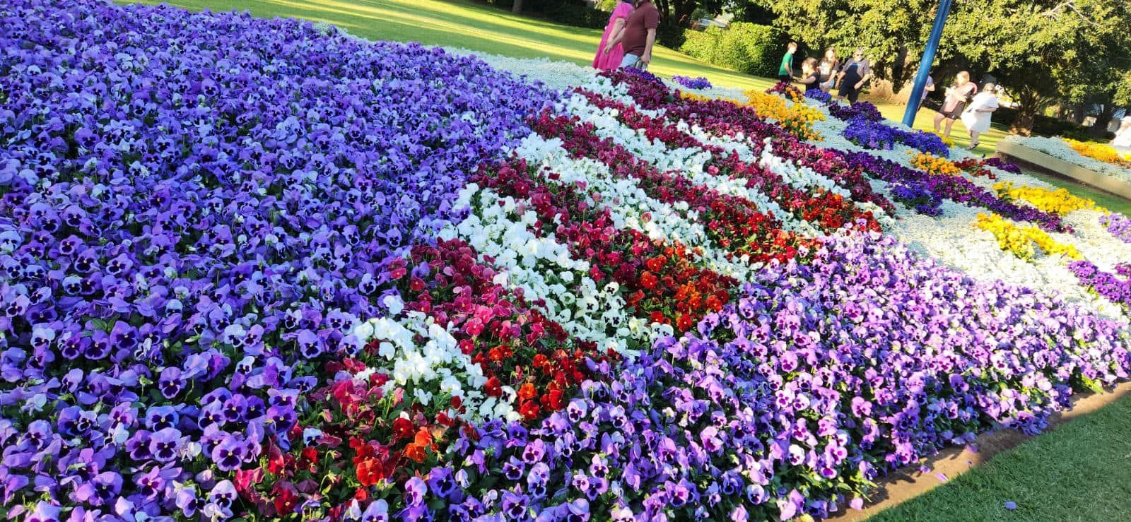 Laurel Bank Park Gardens - 2024 Toowoomba Garden Festival Image -66ff710cd2d46