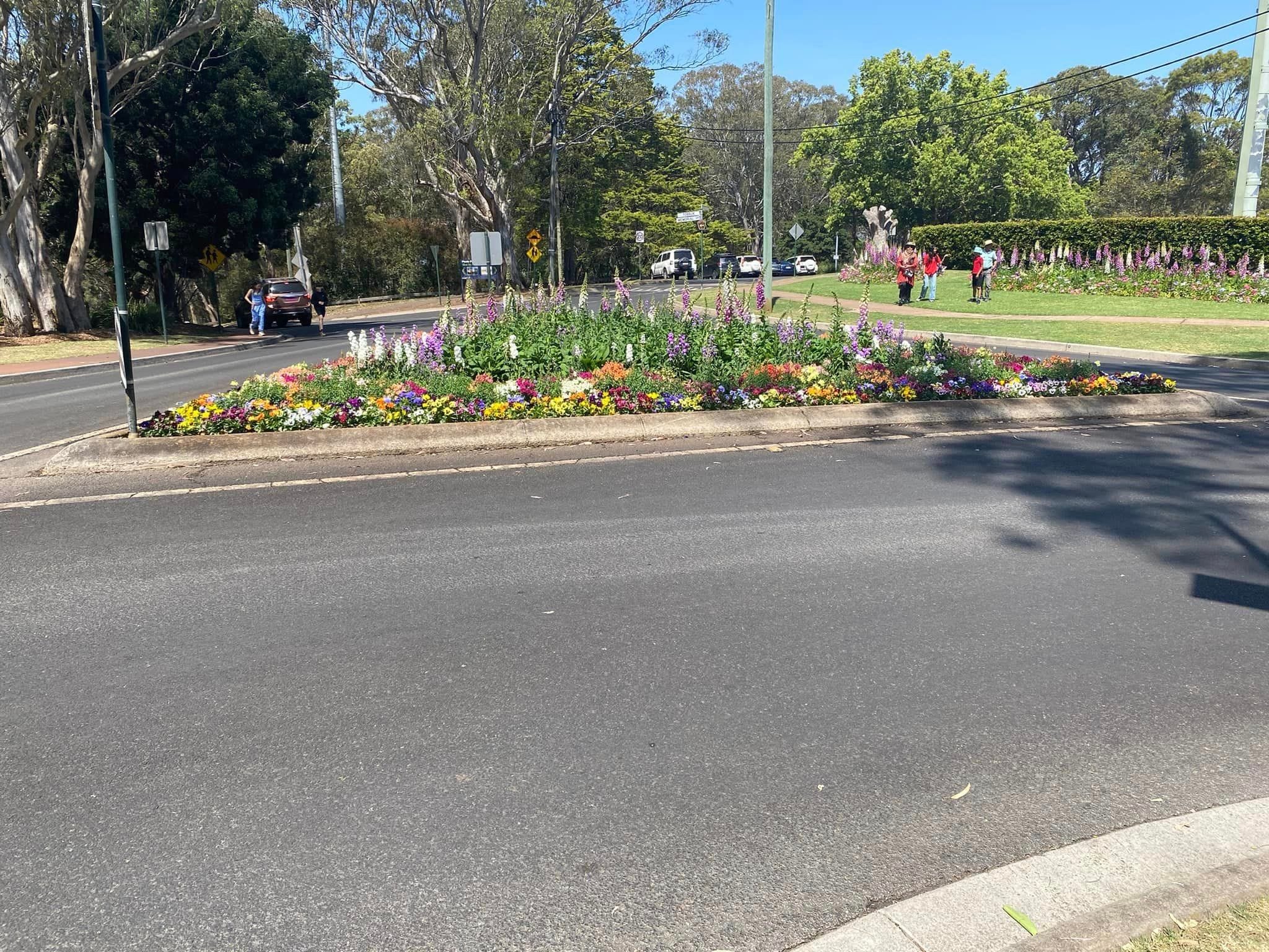 Picnic Point Look Out - Toowoomba Garden Festival Image -66ff764ddb280