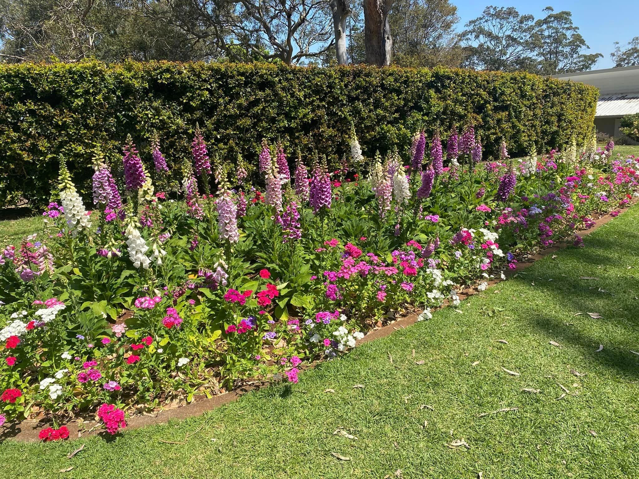 Picnic Point Look Out - Toowoomba Garden Festival Image -66ff7654147a6