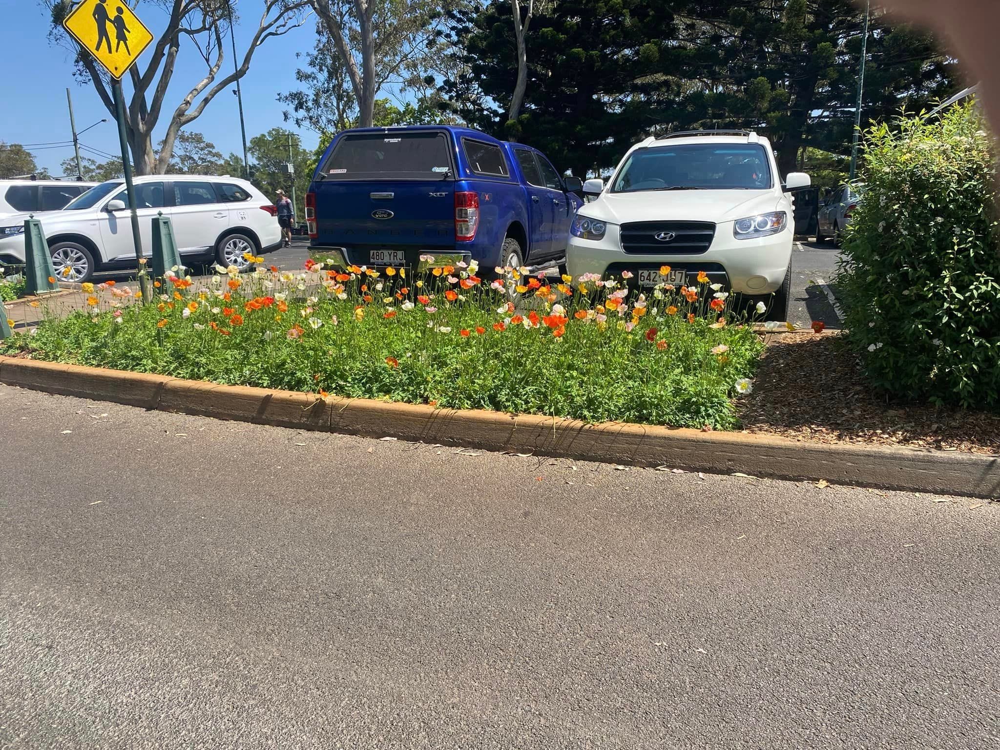 Picnic Point Look Out - Toowoomba Garden Festival Image -66ff765538b71