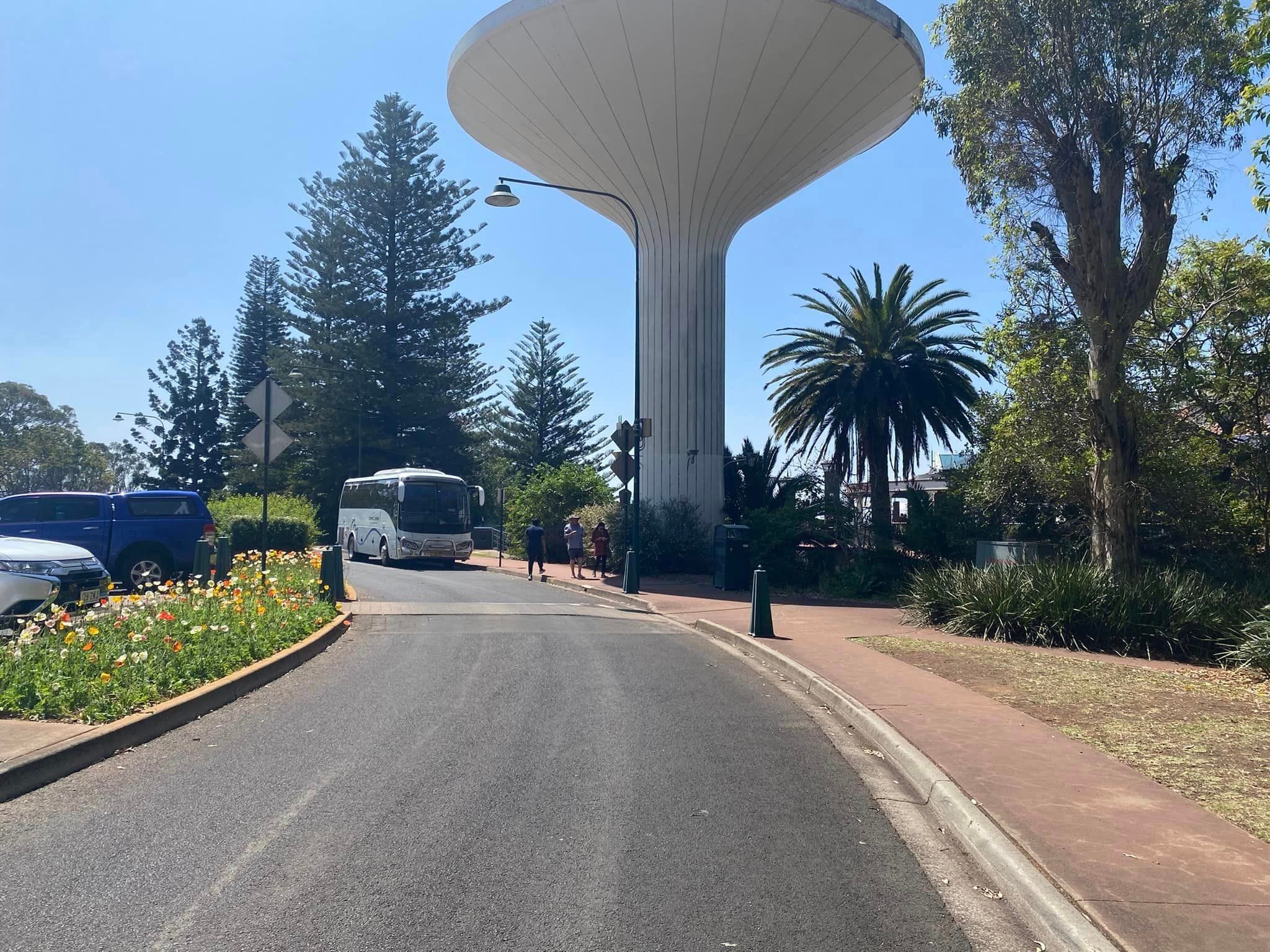 Picnic Point Look Out - Toowoomba Garden Festival Image -66ff765620408