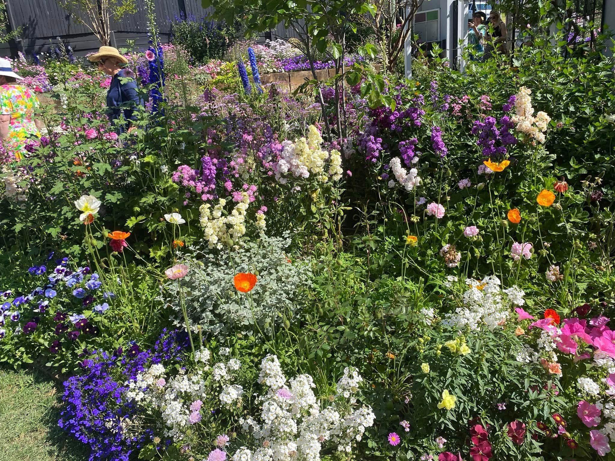 Grand Champion Toowoomba Private Gardens Winner Image -66ff8a352d20e