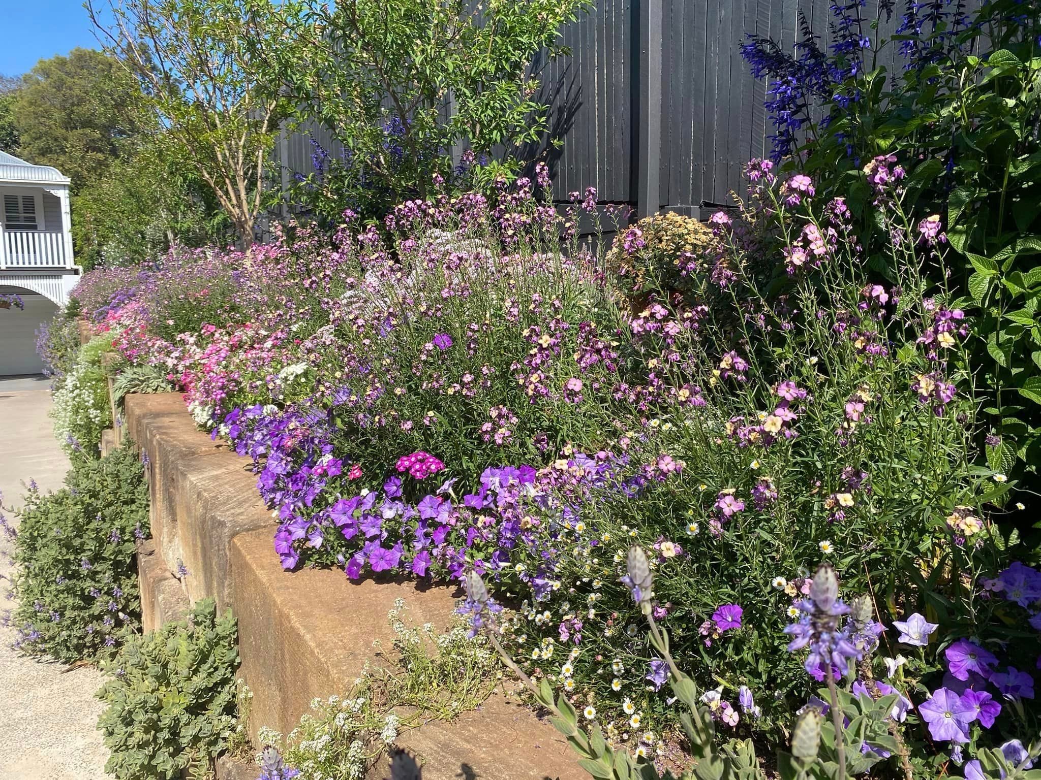 Grand Champion Toowoomba Private Gardens Winner Image -66ff8a43dd0c8