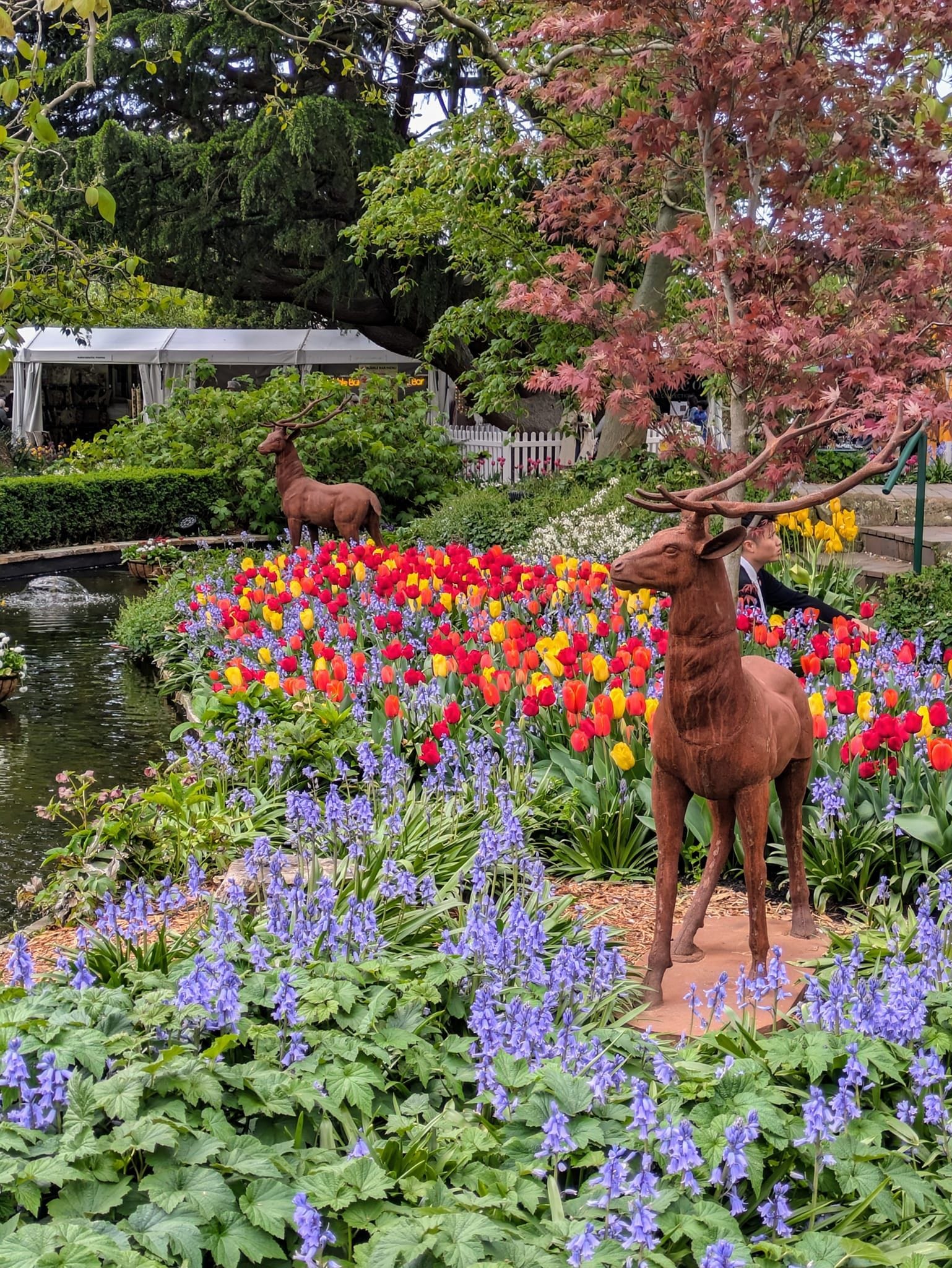 Bowral Corbett Gardens - Garden Extravaganza 2024 Image -6700669e66624