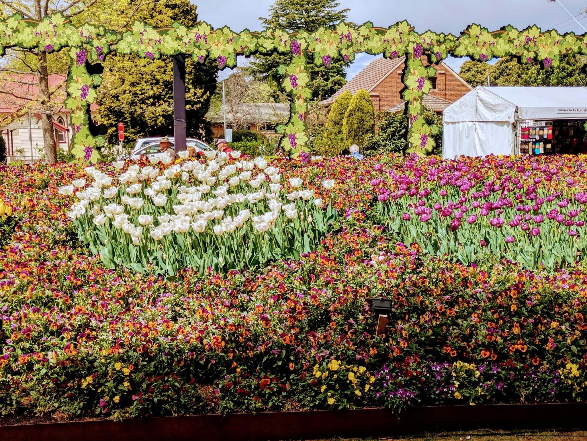 Bowral Corbett Gardens - Garden Extravaganza 2024 Image -670066a0689b4