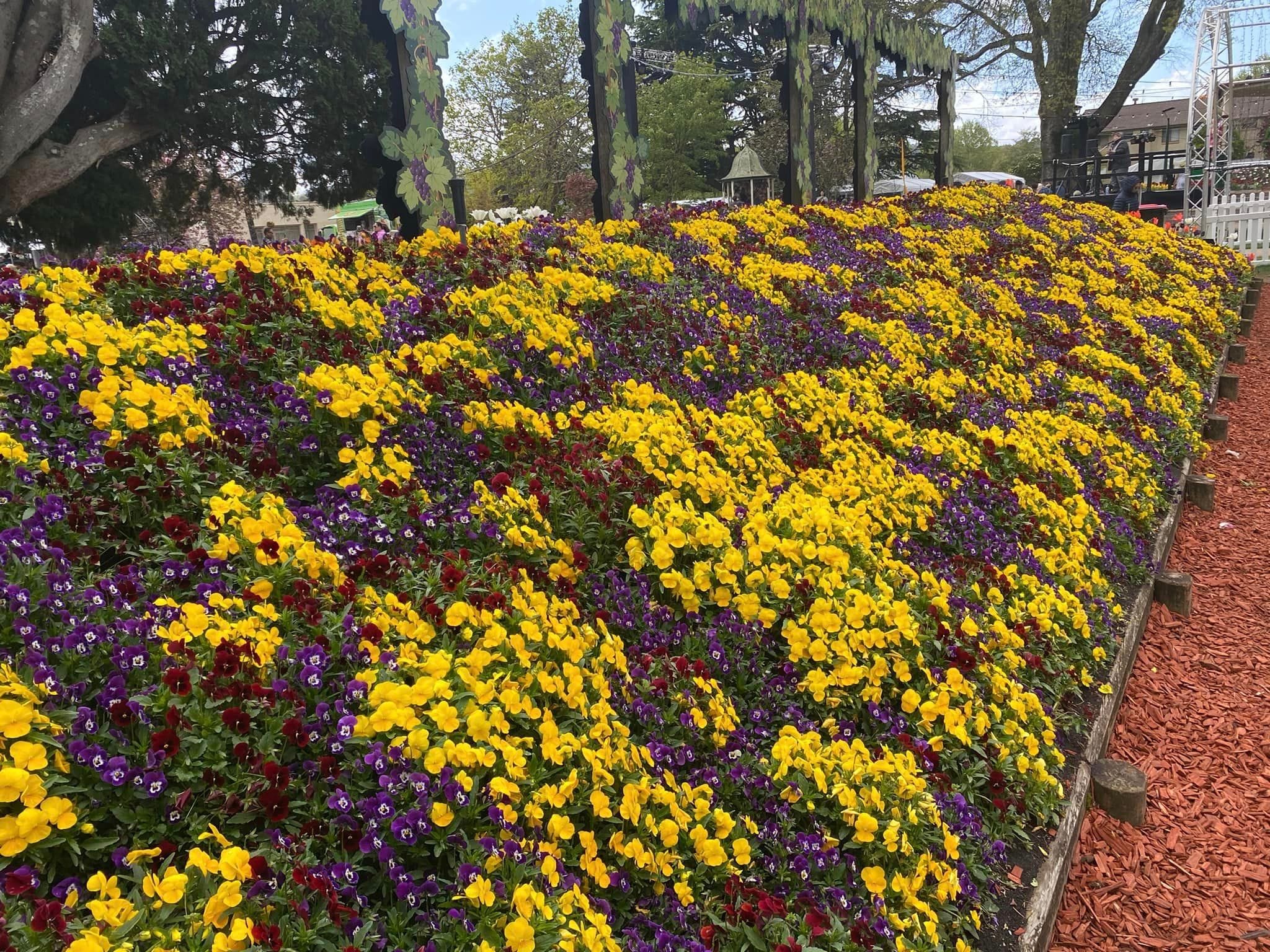 Bowral Corbett Gardens - Garden Extravaganza 2024 Image -670066a1e8d04