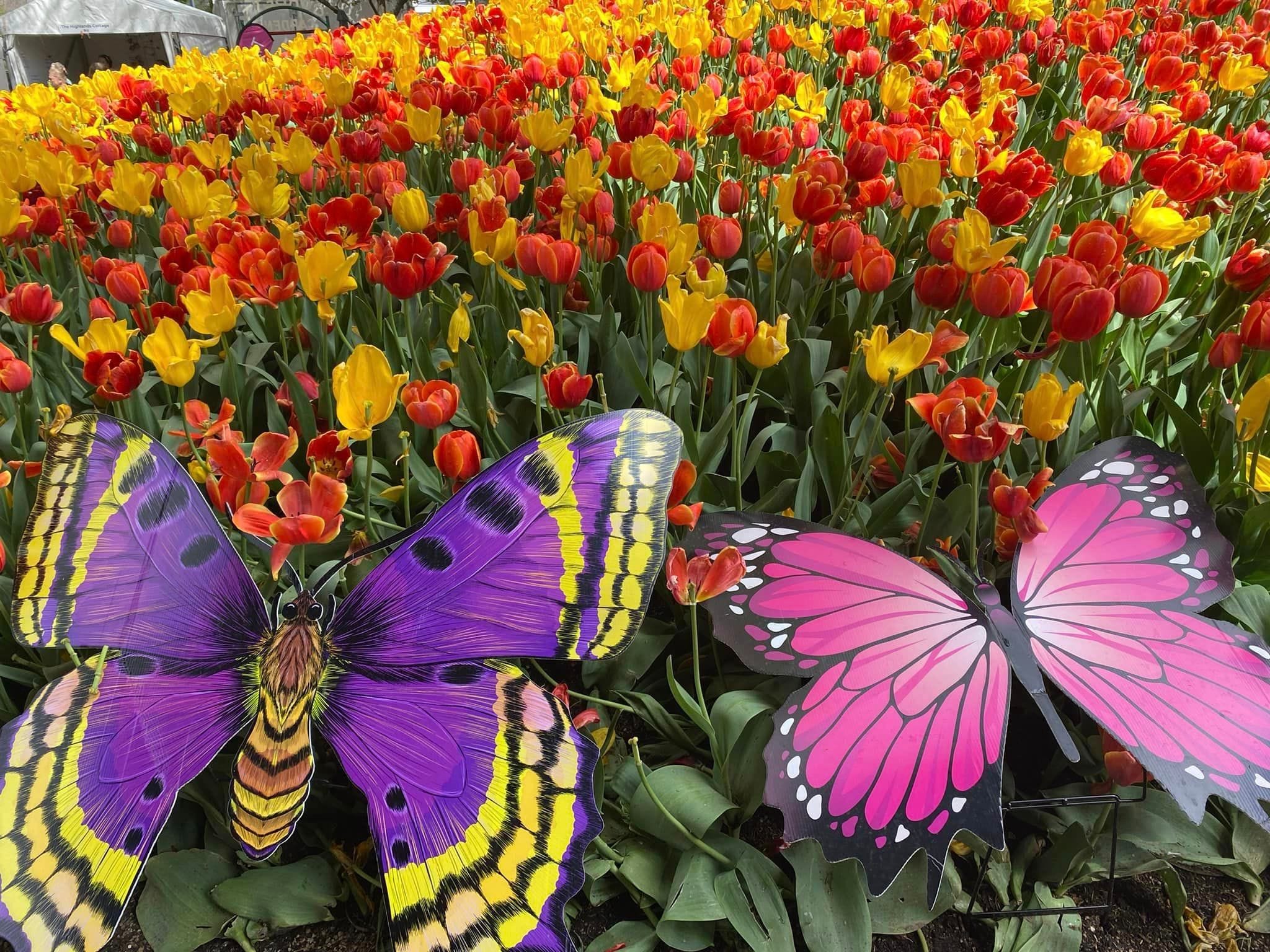 Bowral Corbett Gardens - Garden Extravaganza 2024