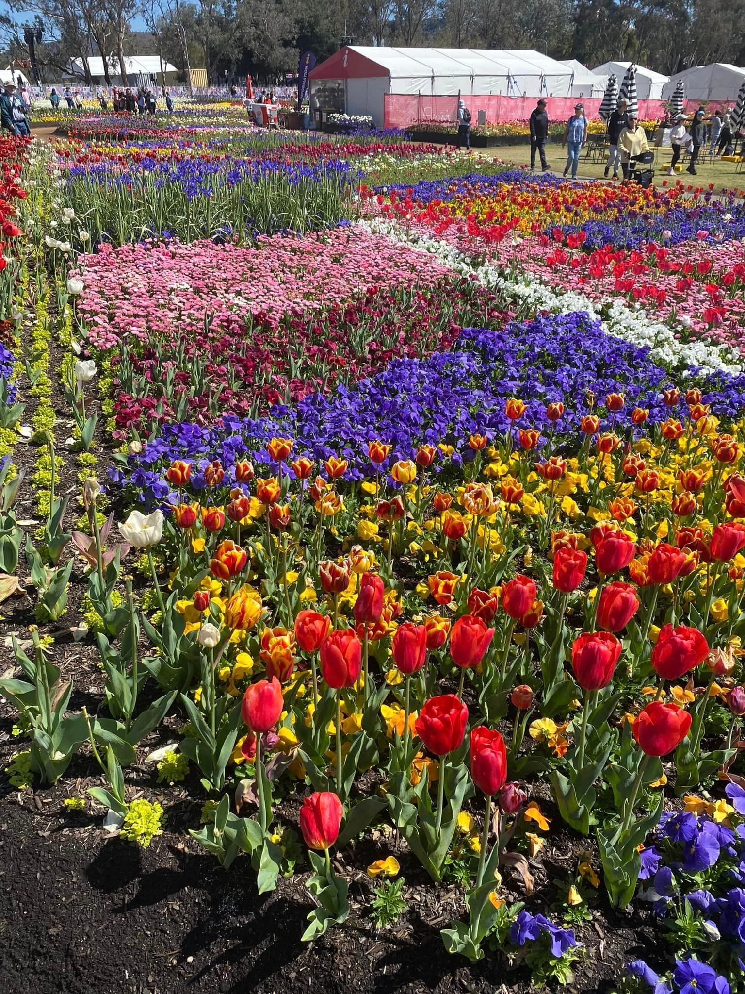 Floriade - Garden Extravaganza 2024 Image -67006a3528873