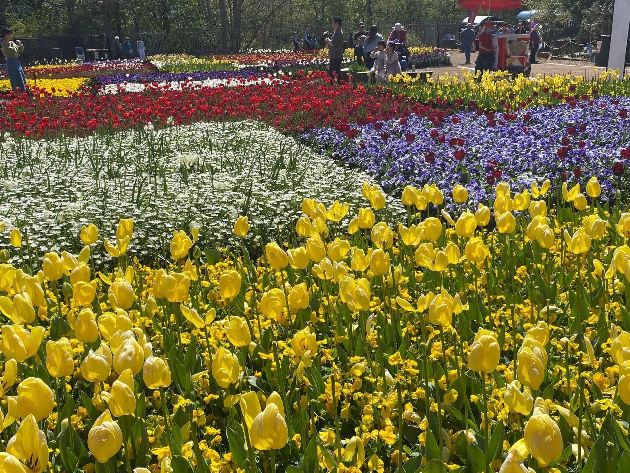 Floriade - Garden Extravaganza 2024 Image -67006a35c6aef