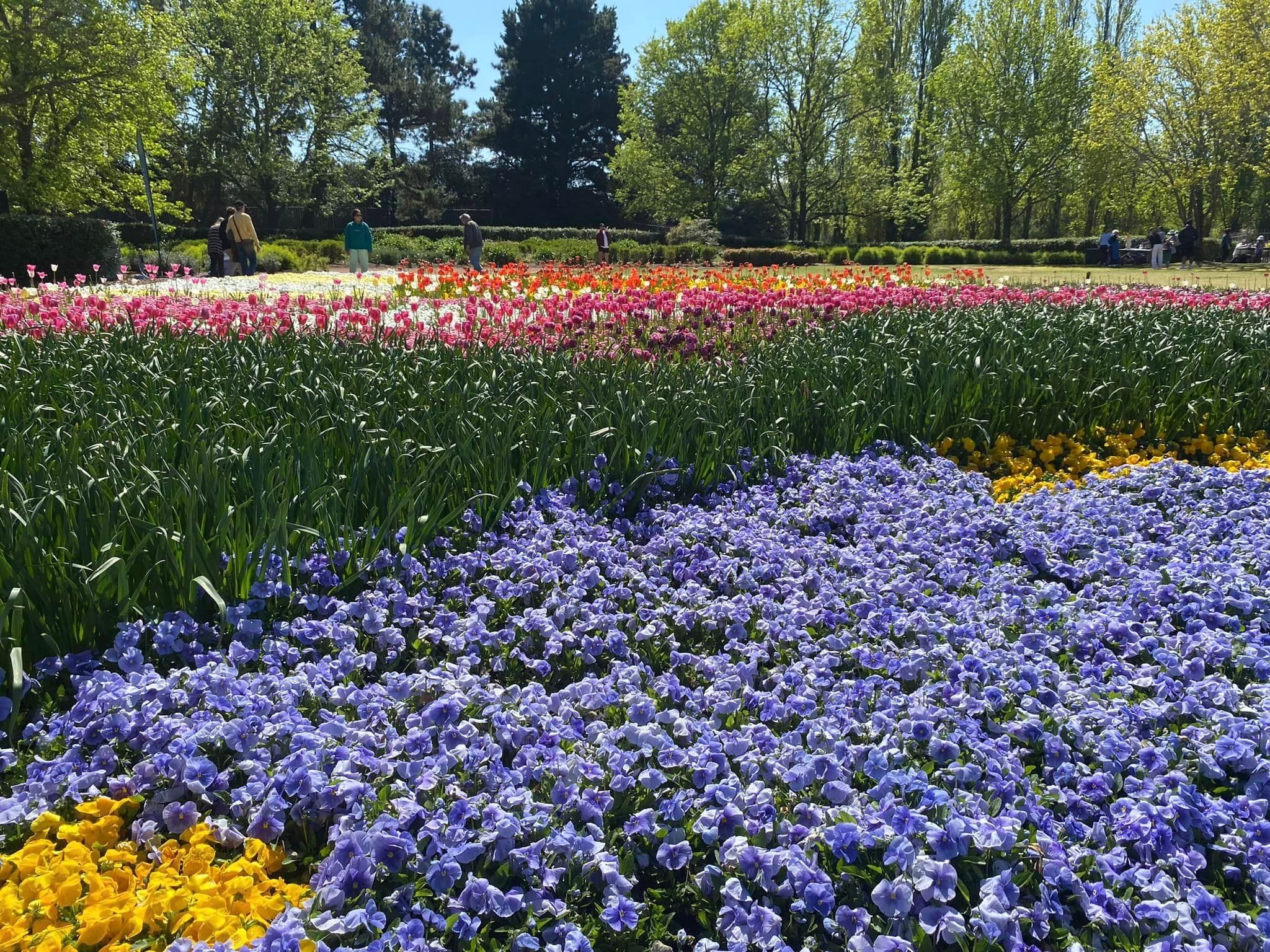 Floriade - Garden Extravaganza 2024 Image -67006a37b7964