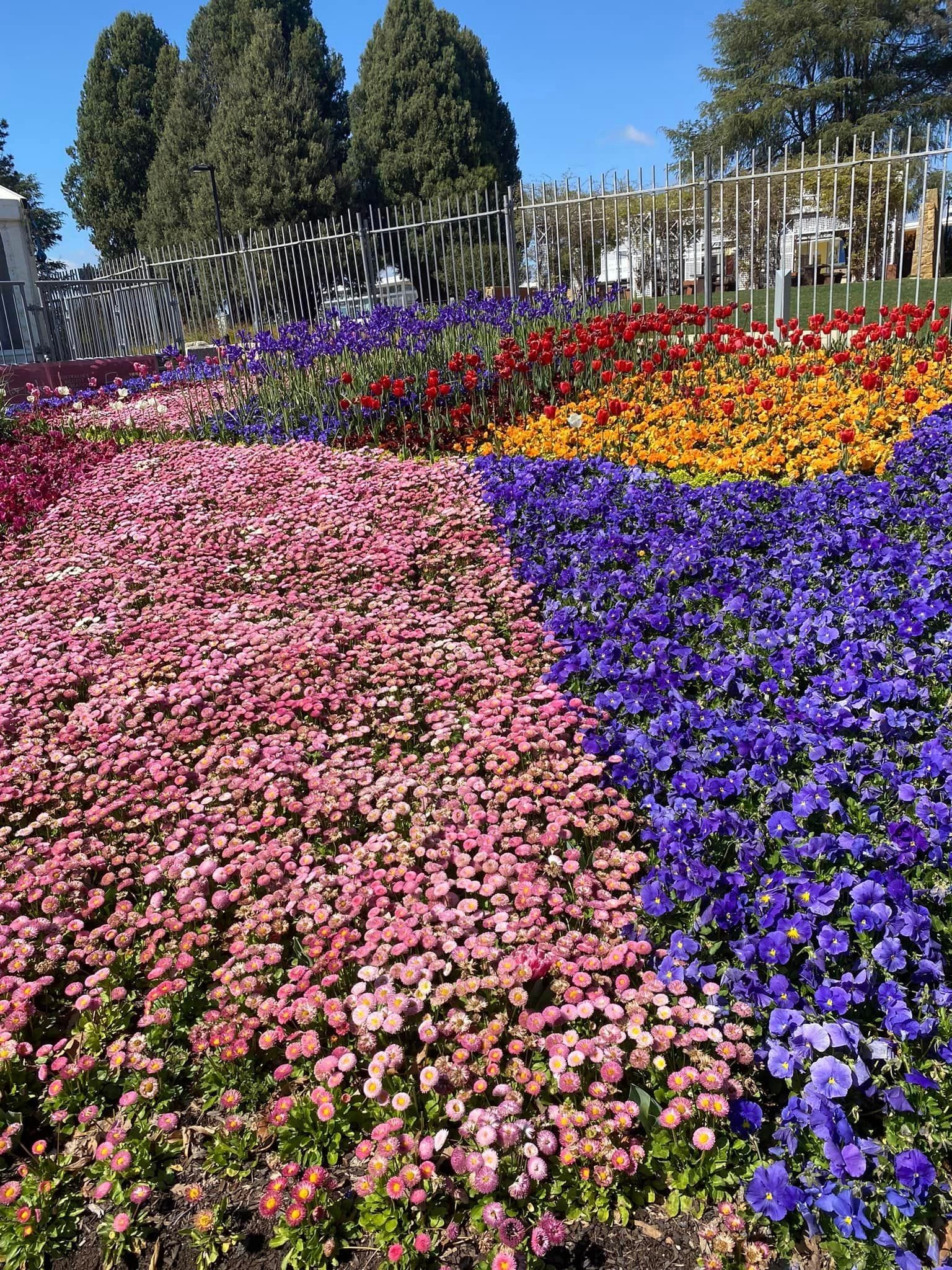 Floriade - Garden Extravaganza 2024 Image -67006a45bdc07