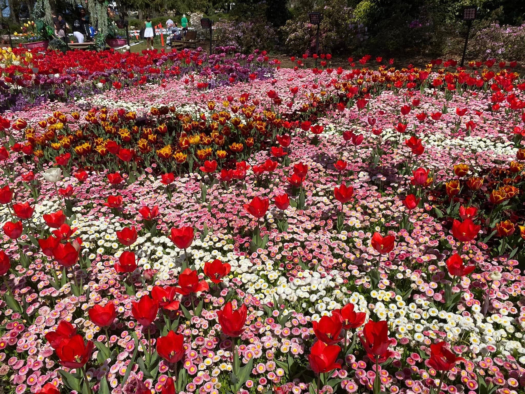 Floriade - Garden Extravaganza 2024 Image -67006a46763fc