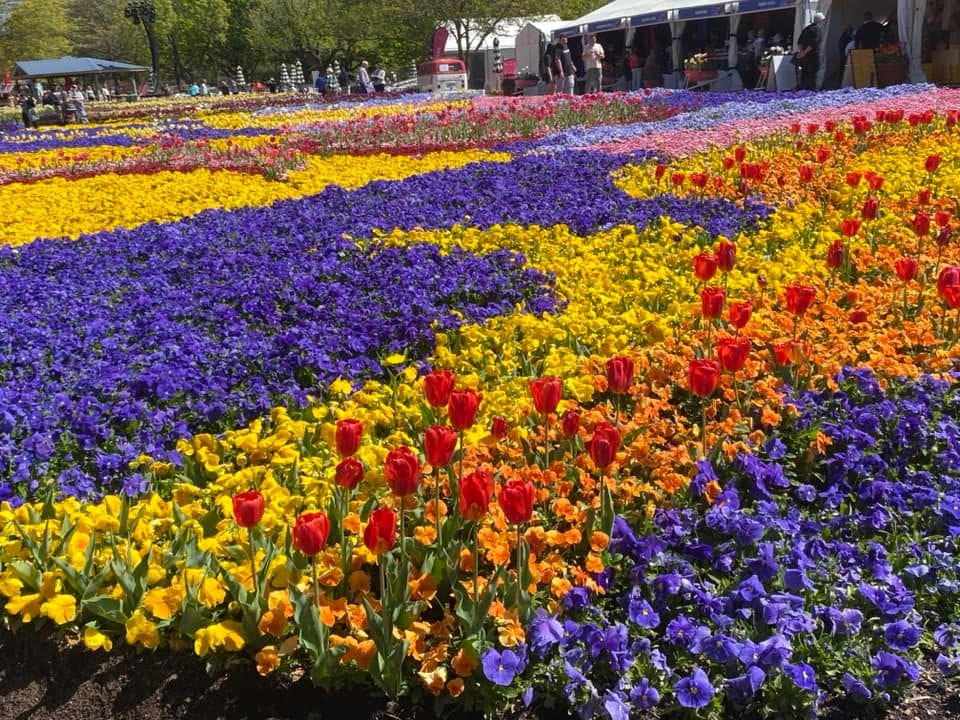 Floriade - Garden Extravaganza 2024 Image -67006a479ac46