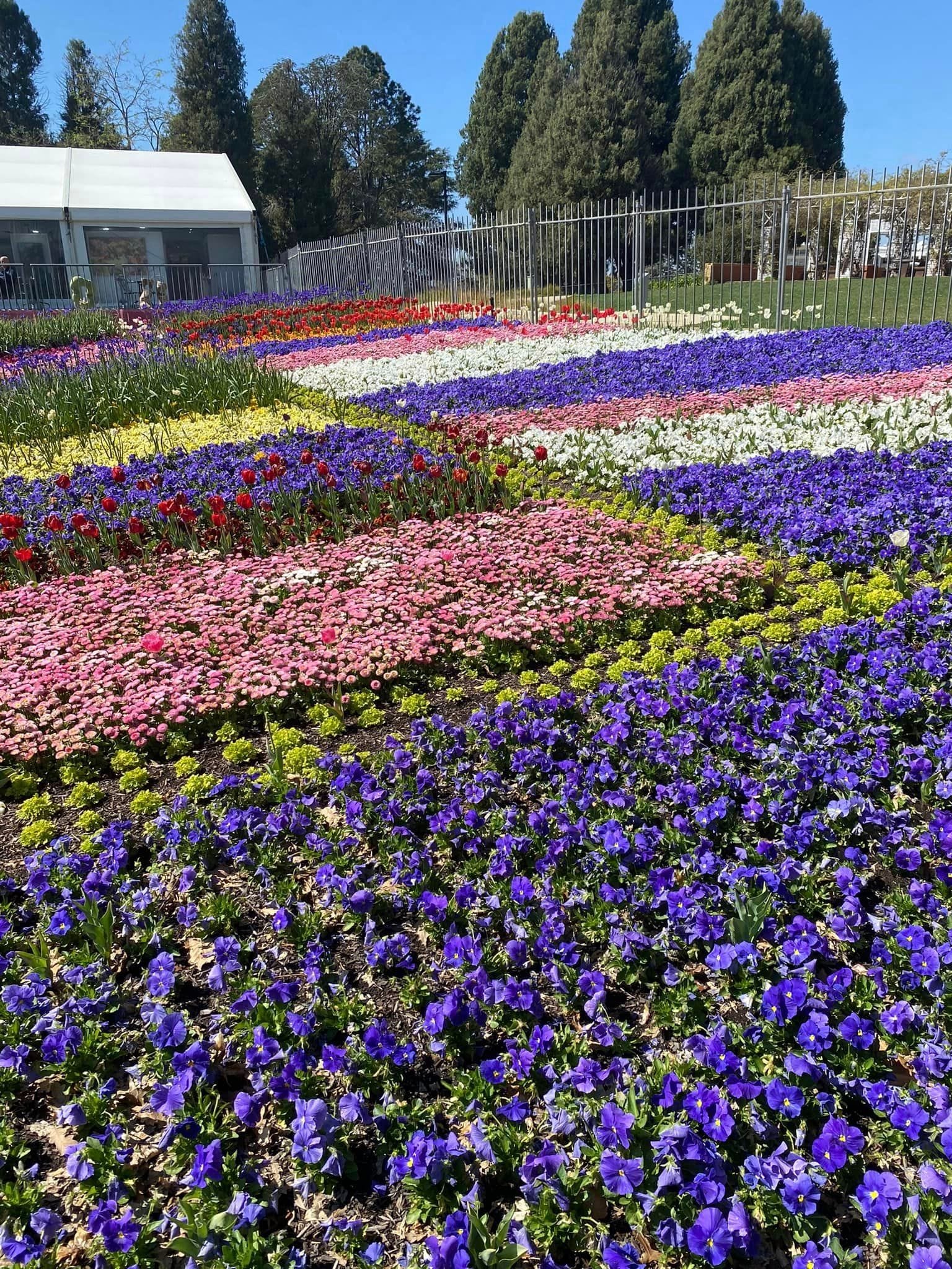 Floriade - Garden Extravaganza 2024 Image -67006a4aecf6a