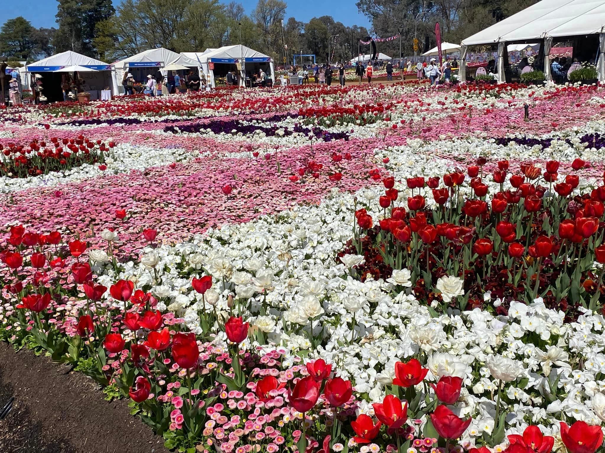 Floriade - Garden Extravaganza 2024 Image -67006a501d784